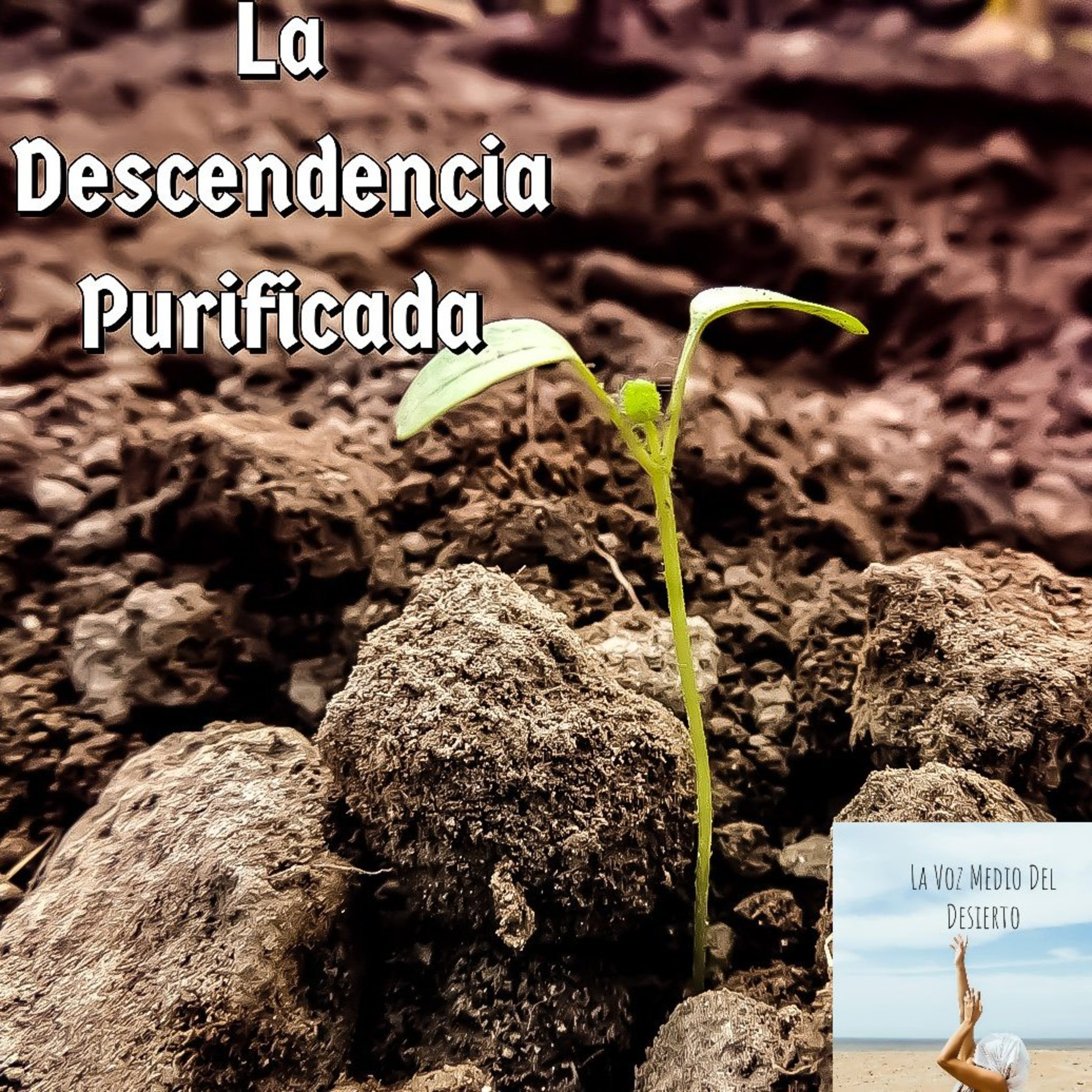 La Voz En Medio Del Desierto