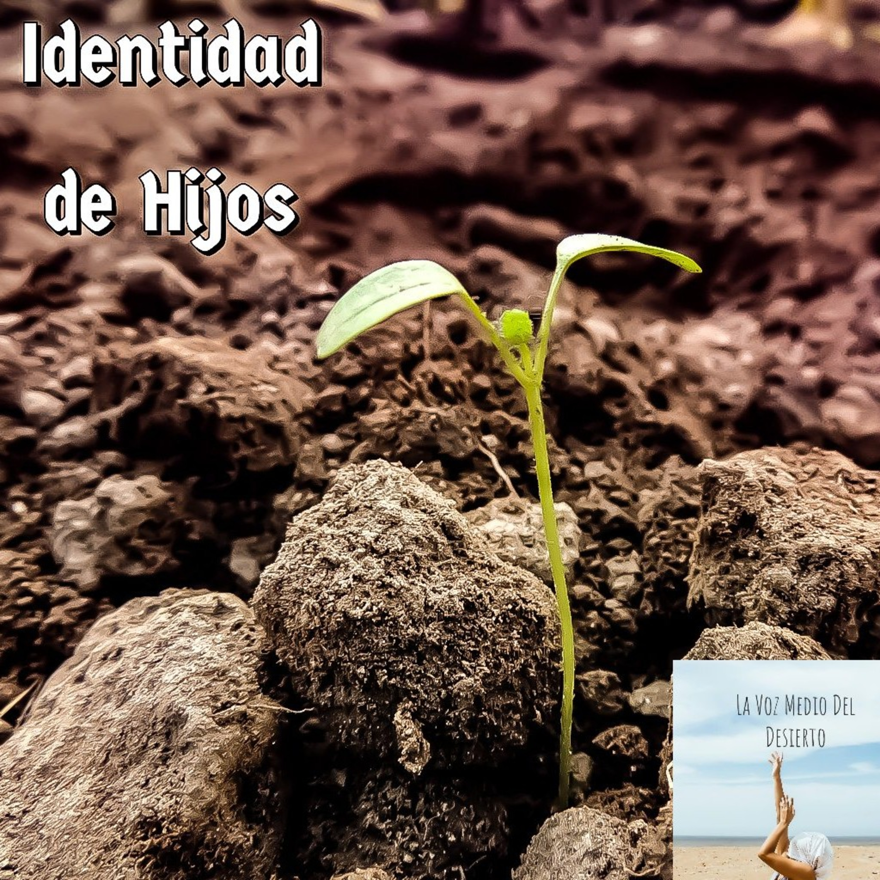 La Voz En Medio Del Desierto
