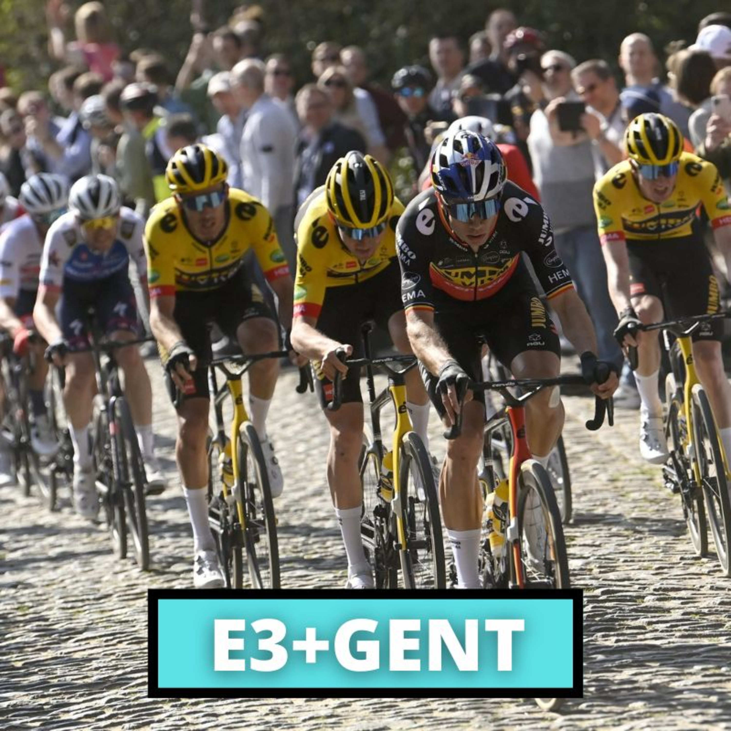 Belgický klasikářský víkend je tady! Naváže Mathieu van der Poel na formu ze San Rema? episode artwork