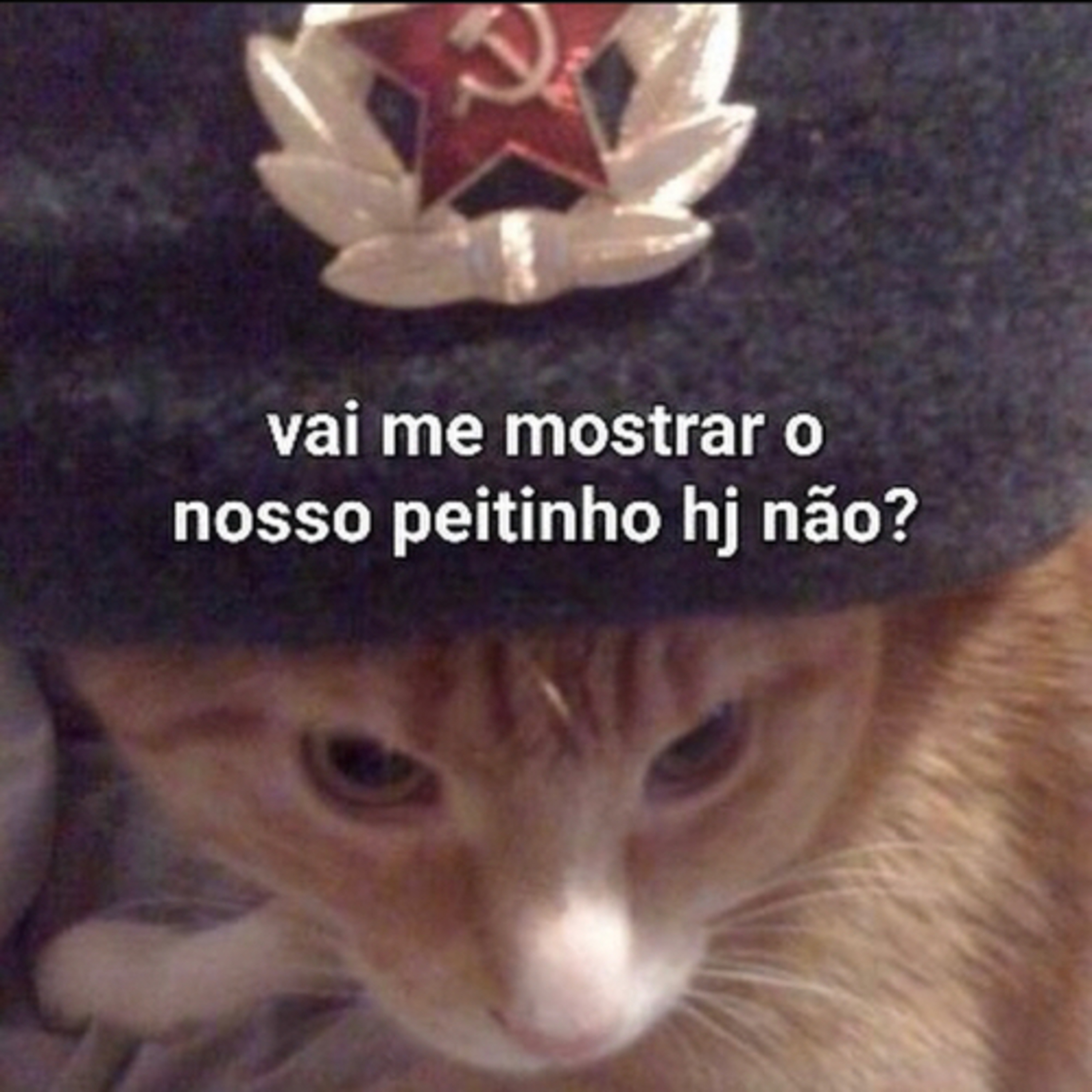 Lamaçal Total