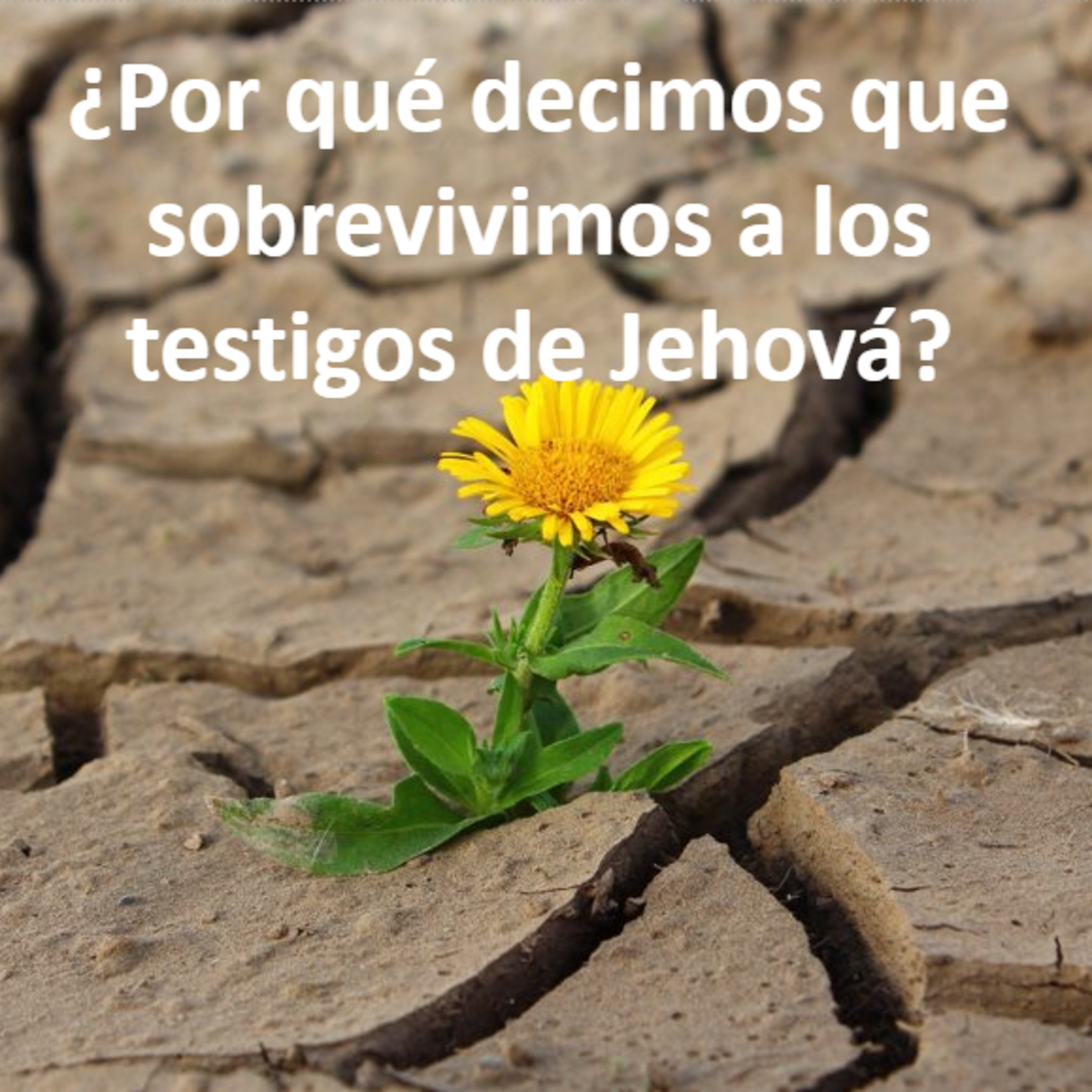 ¿Por qué decimos que sobrevivimos a los testigos de Jehová?