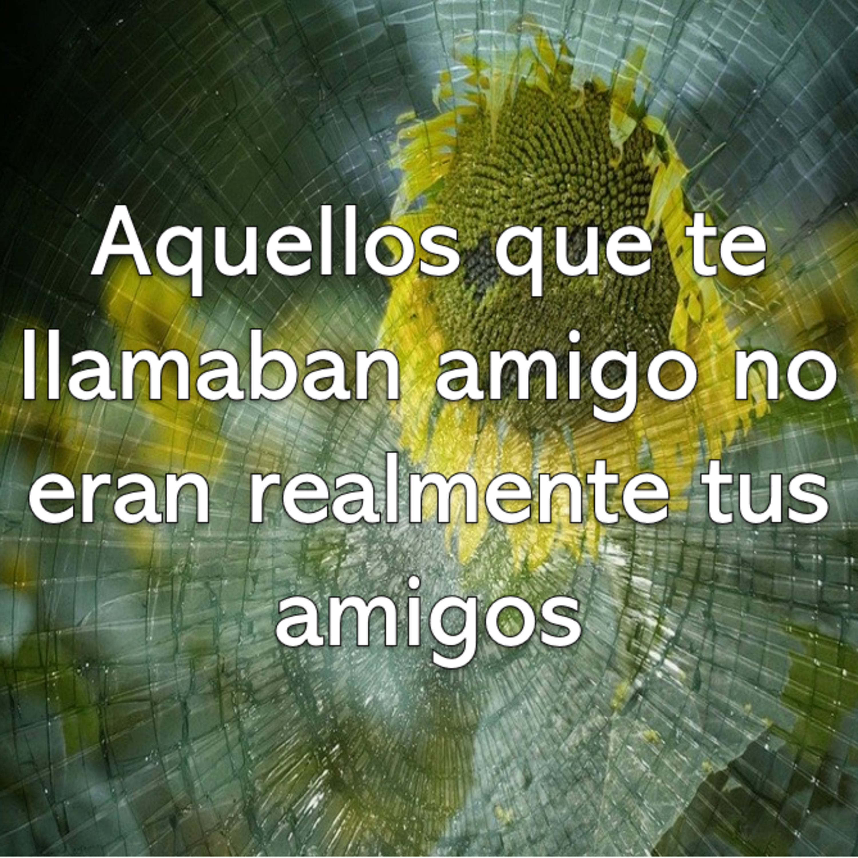 "Todas aquellas personas que te llamaban amigo no eran realmente tus amigos"