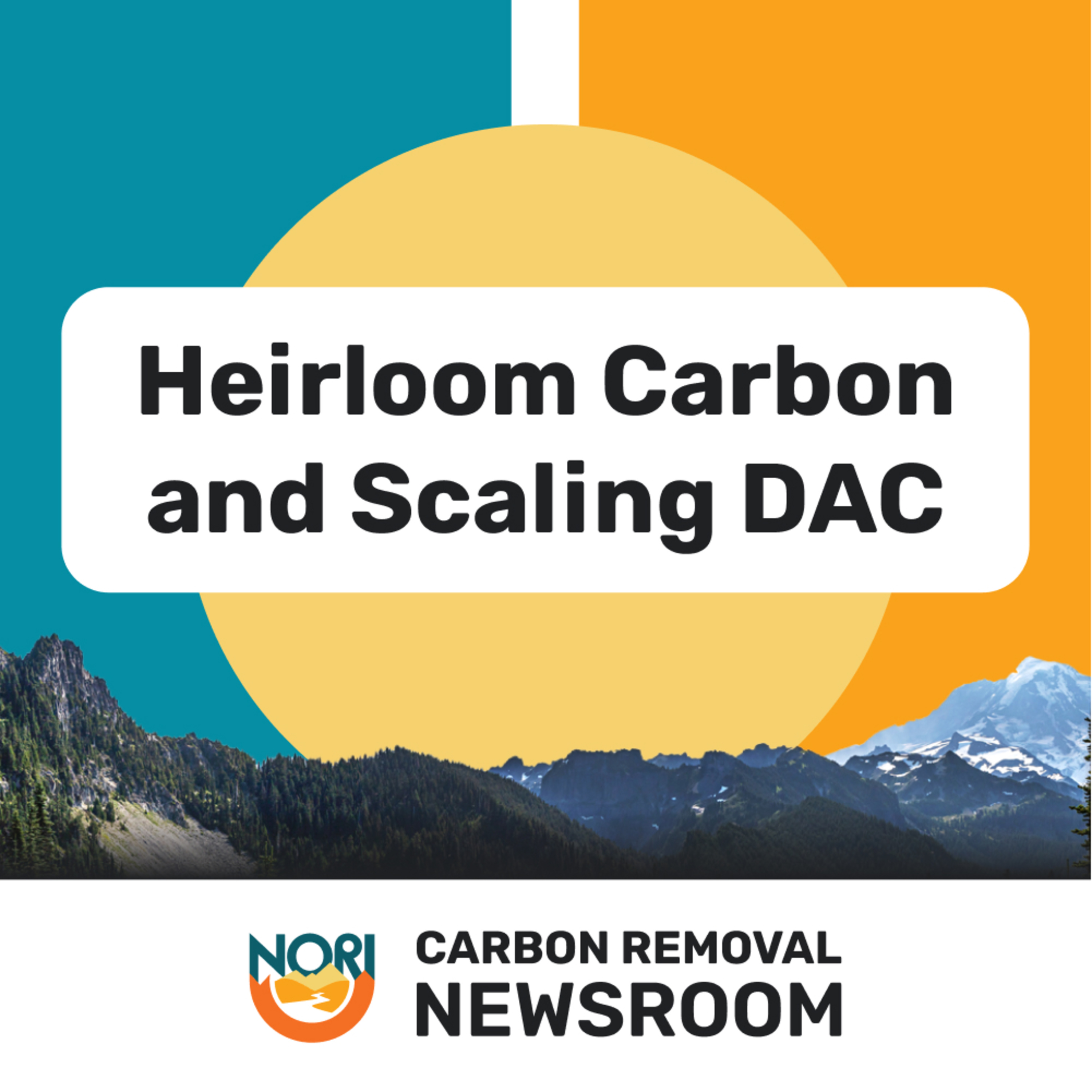Carbon Removal Newsroom