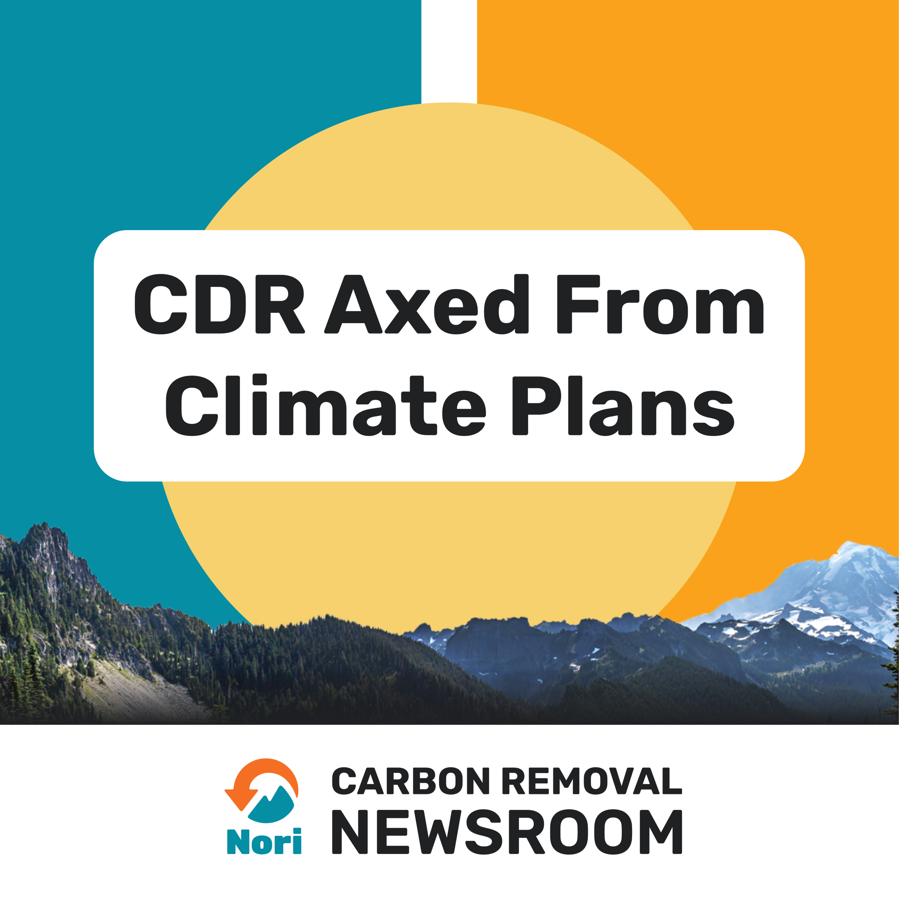 CDR Axed from Climate Plans