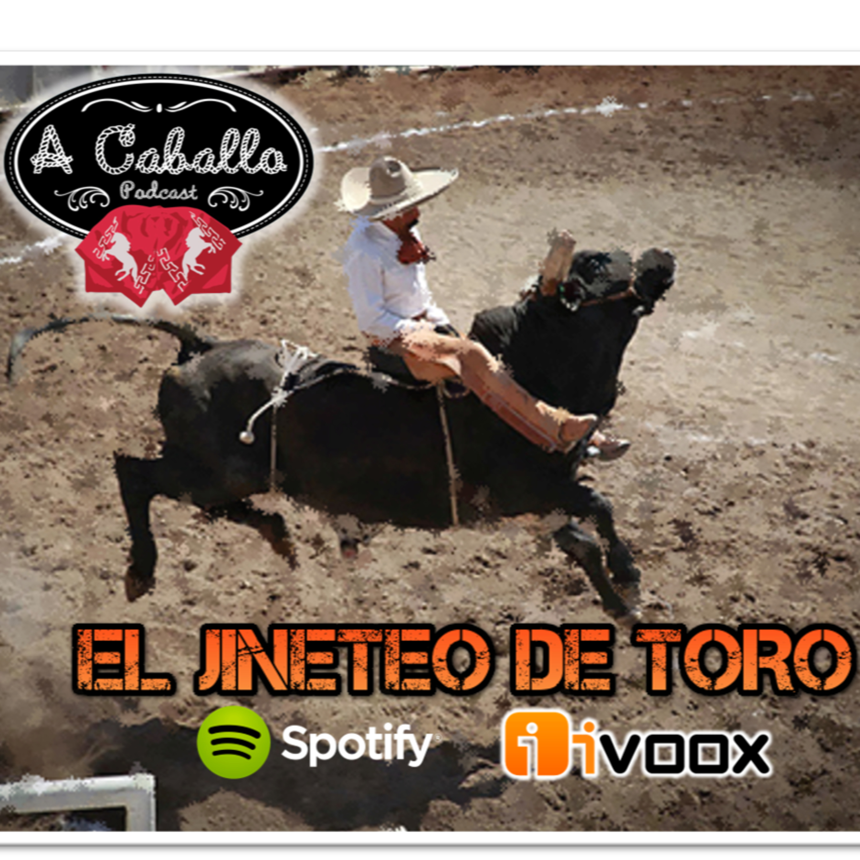 Episodio 02 - EL JINETEO DE TORO (Entrevista a Raúl Estrada) episode artwork