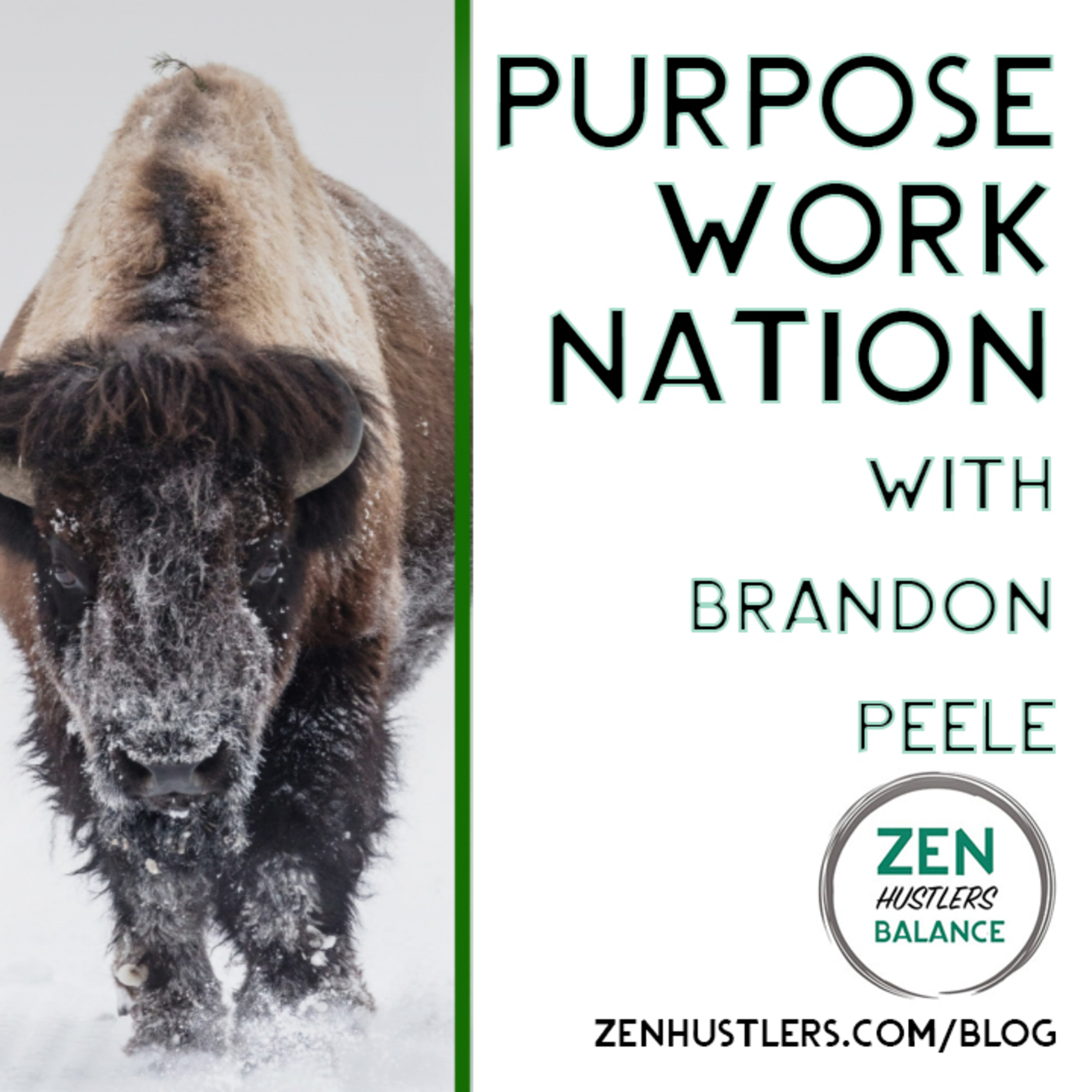 Purpose Work Nation with Brandon Peele • Zen Hustlers Balance episode artwork