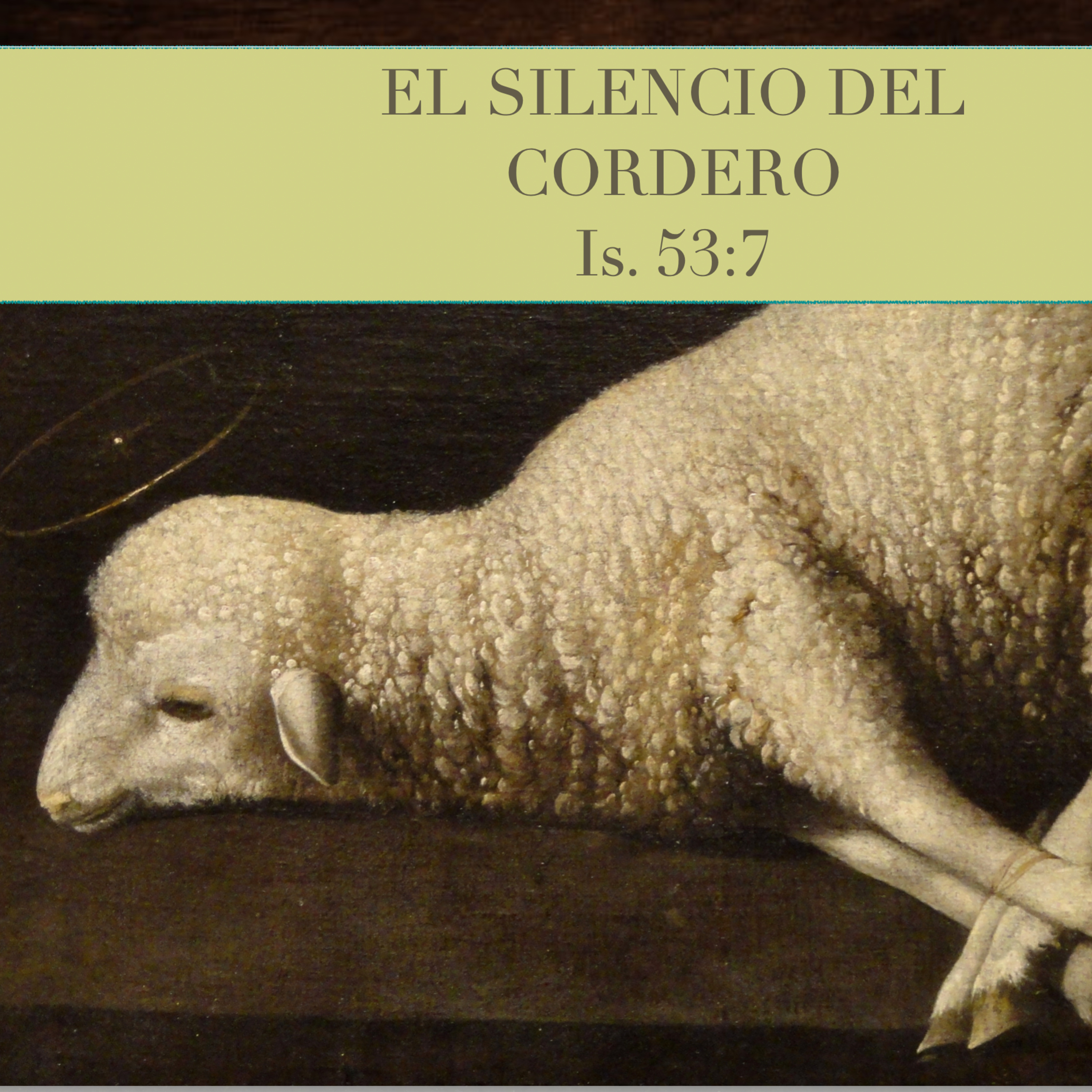 Javier Escamilla R