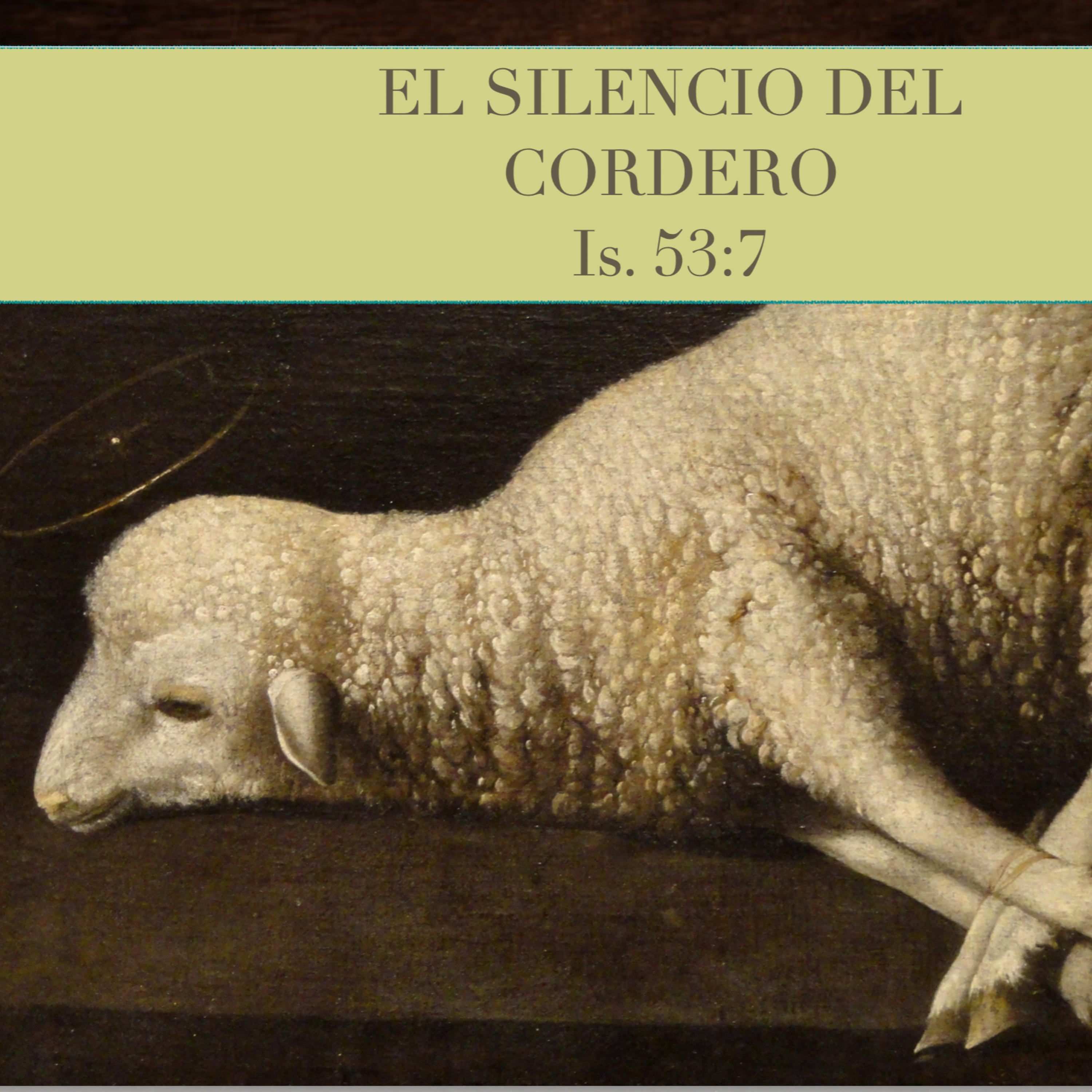 Javier Escamilla R