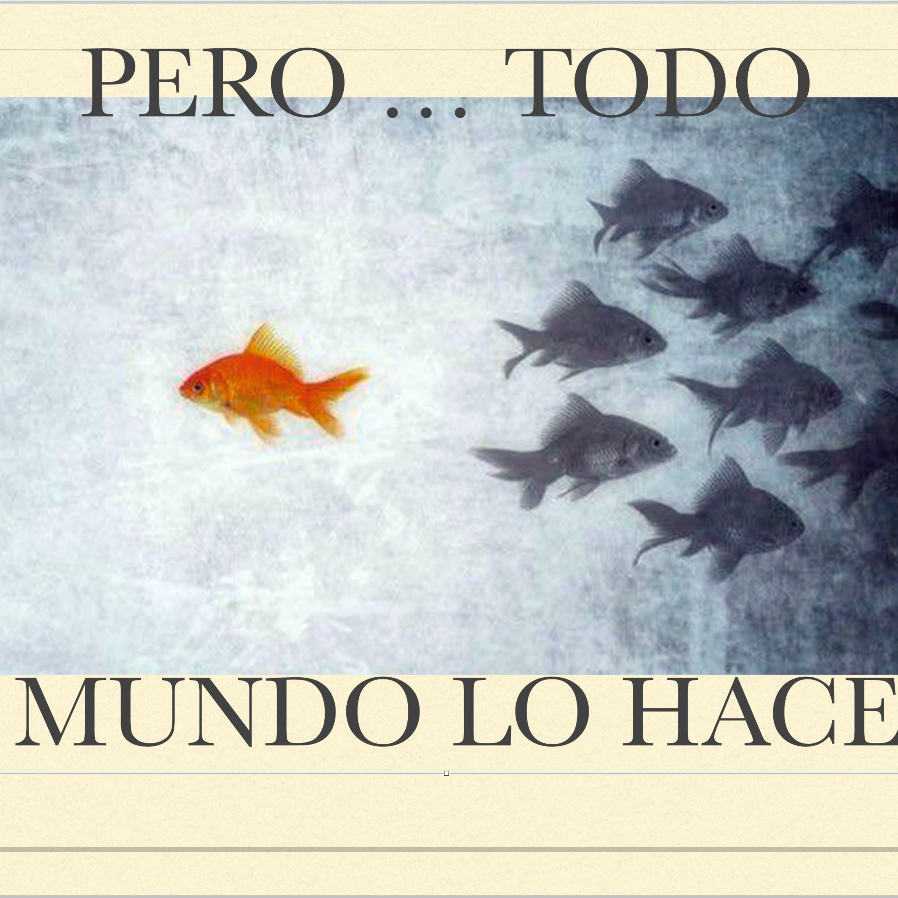 Javier Escamilla R
