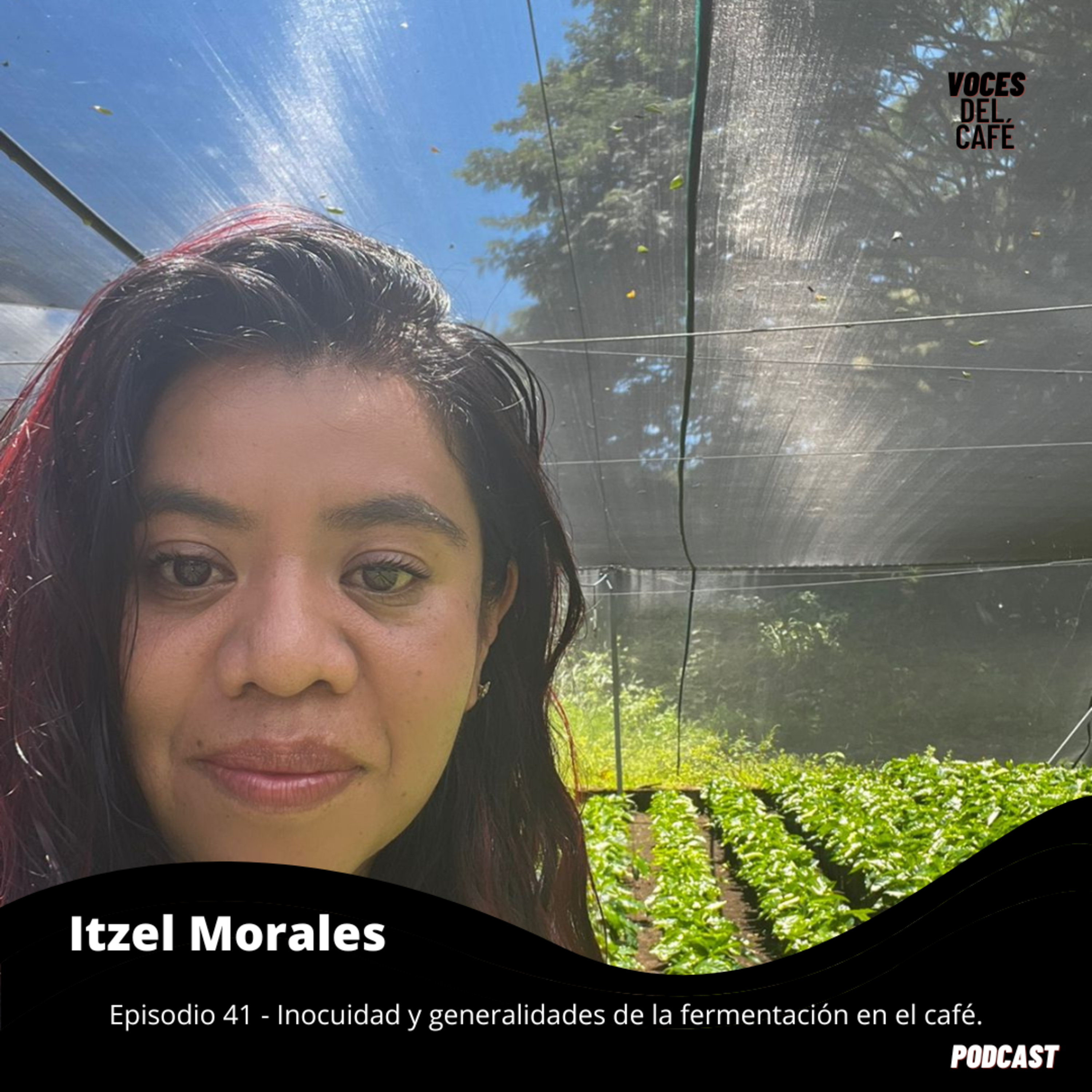 Voces del café