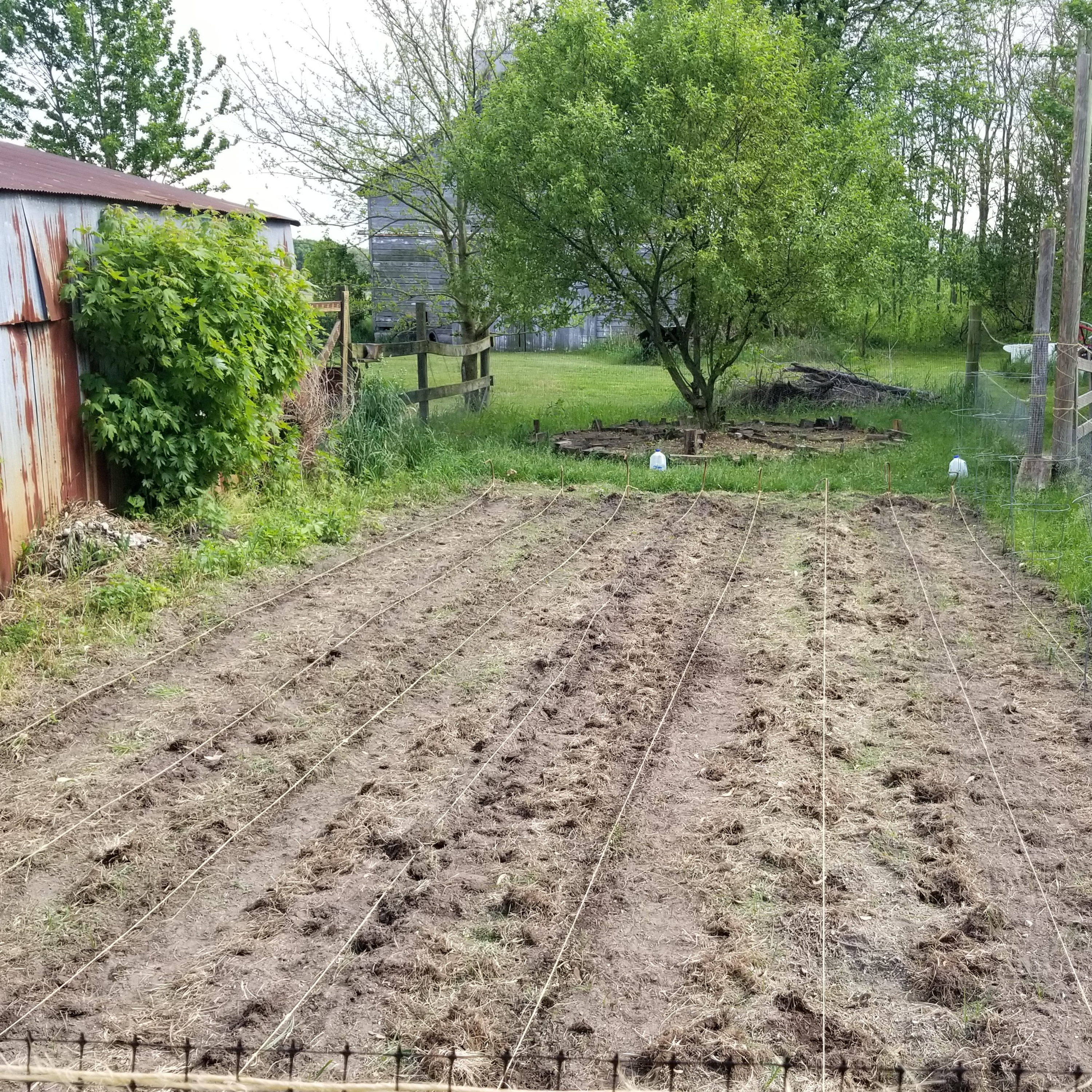 I planted my Garden!