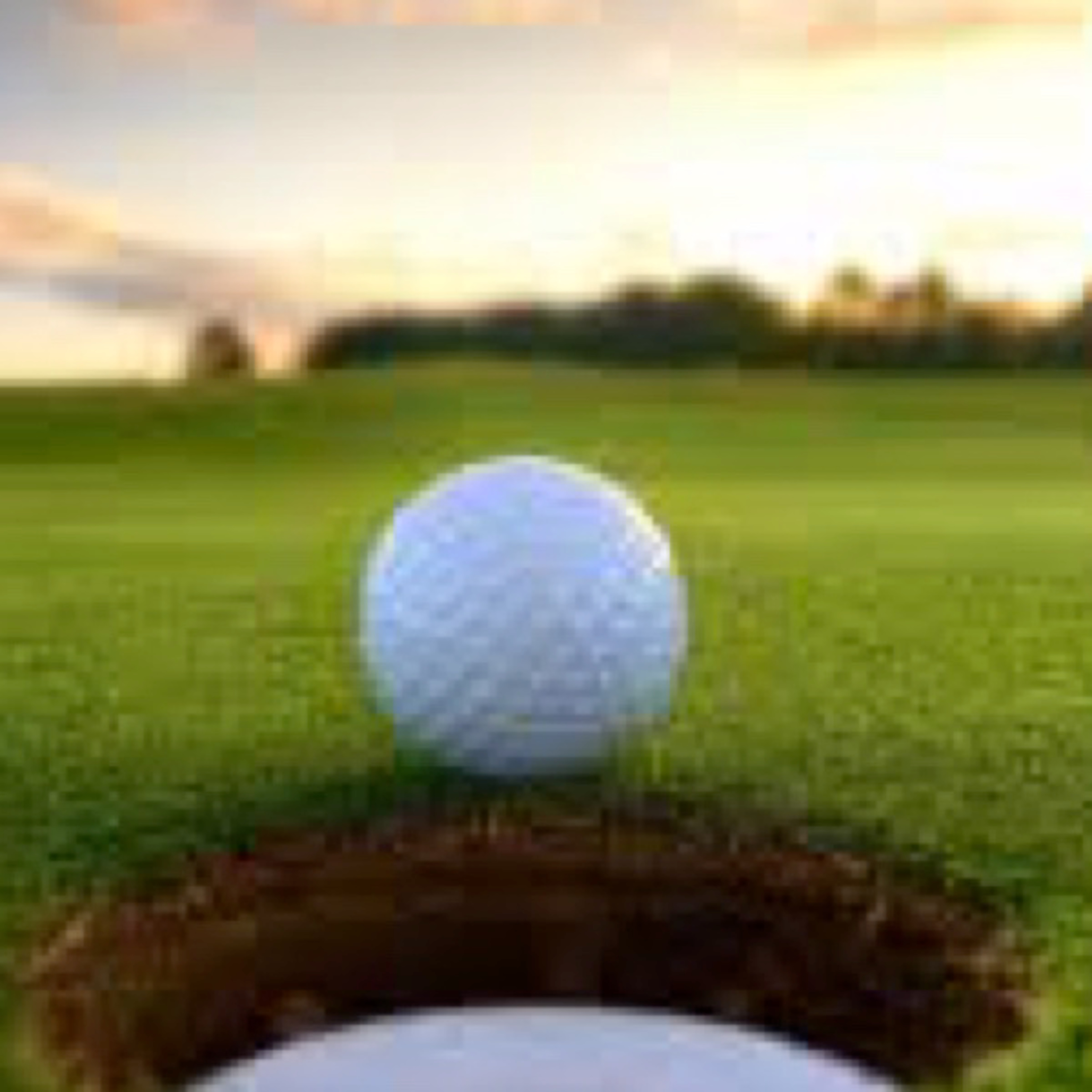 Dear Golf... Dear Golf...