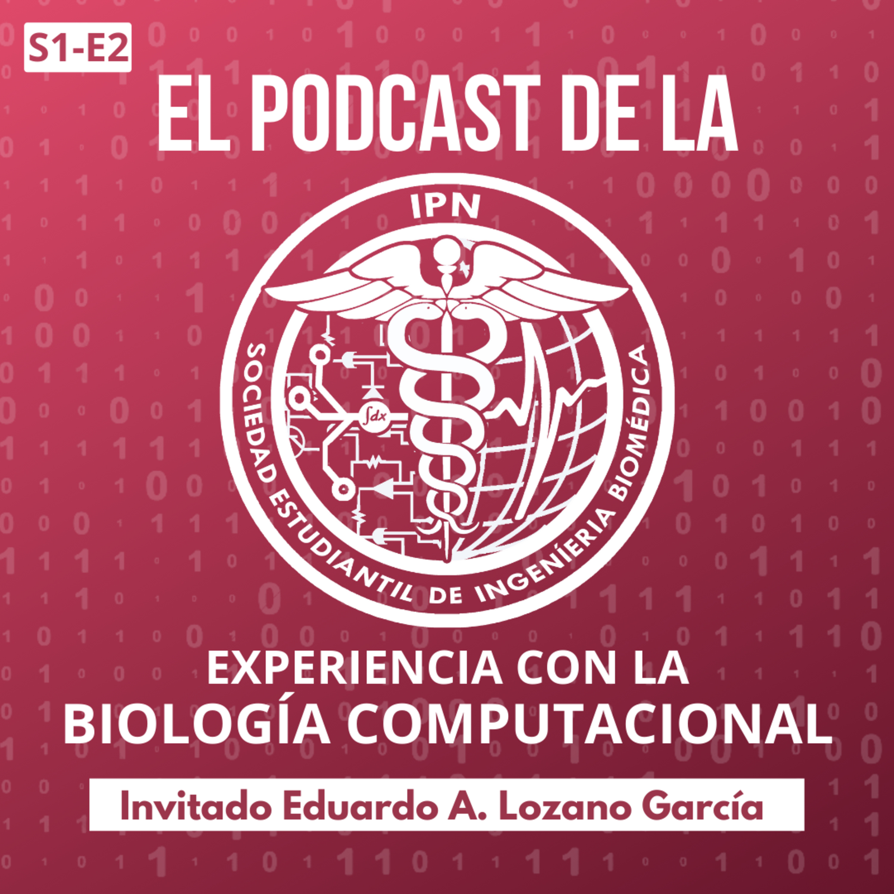 Sociedad Estudiantil De Ingeniería Biomédica IPN