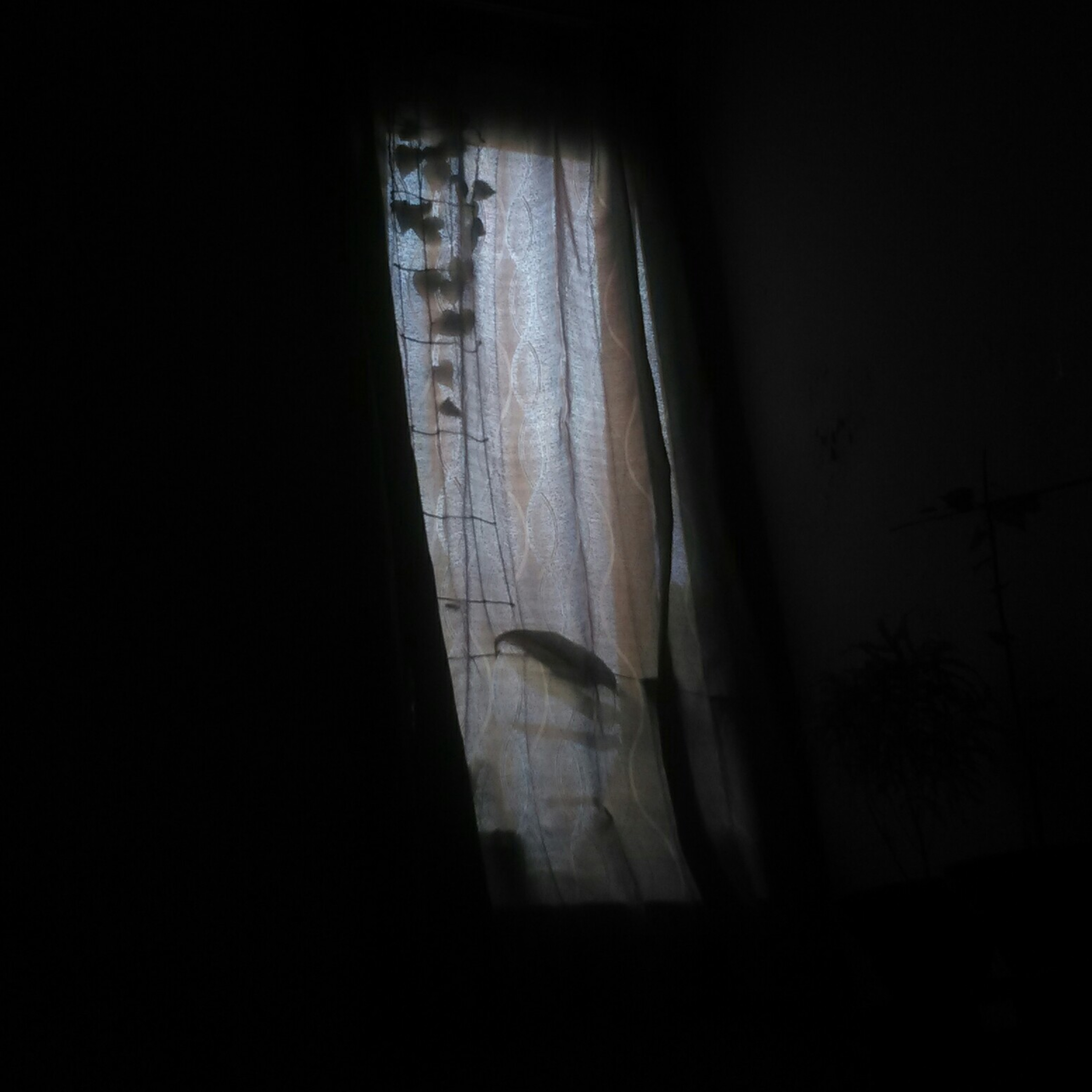 Bangun Tidur