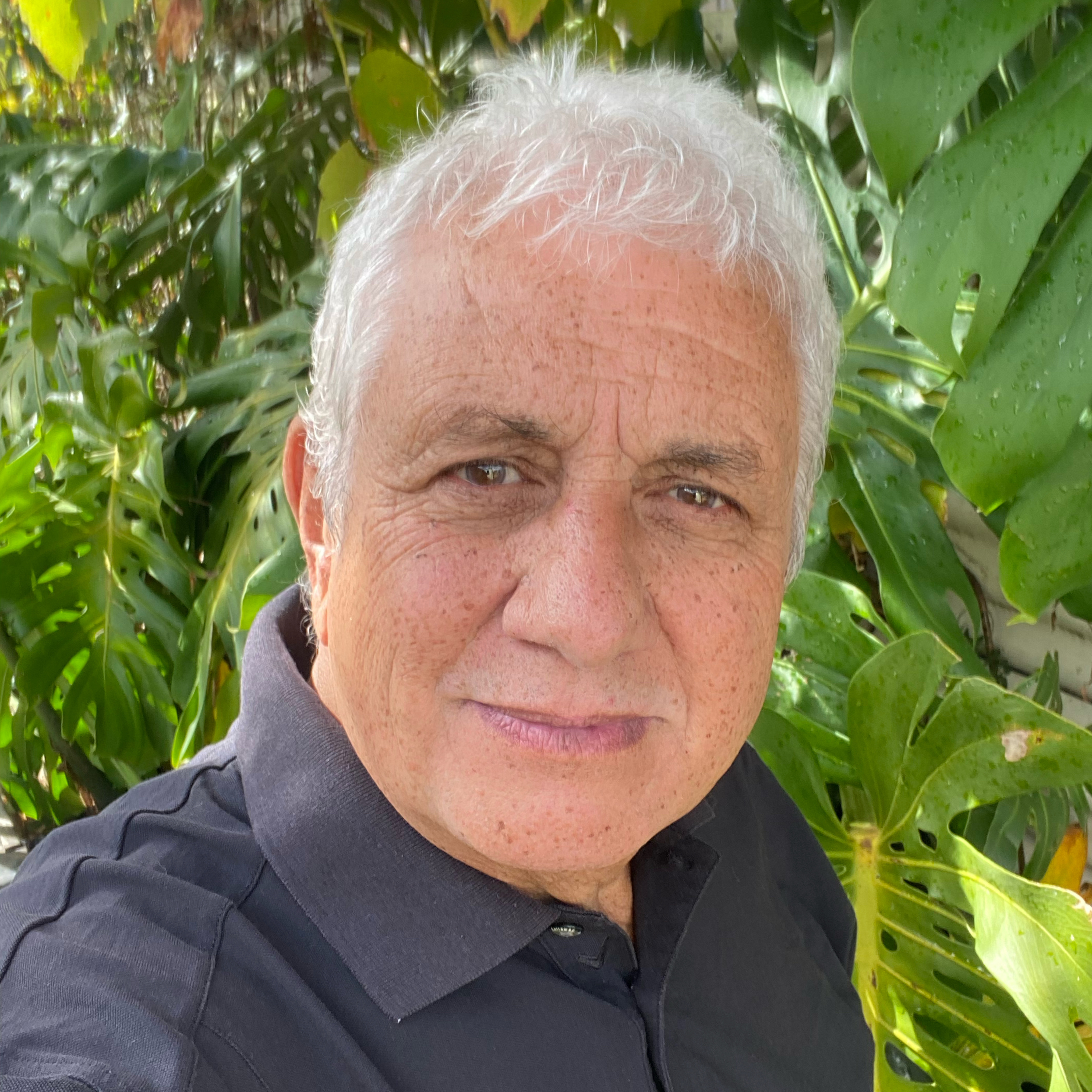 Darren Hunter - Beautiful New Zealand 🇳🇿