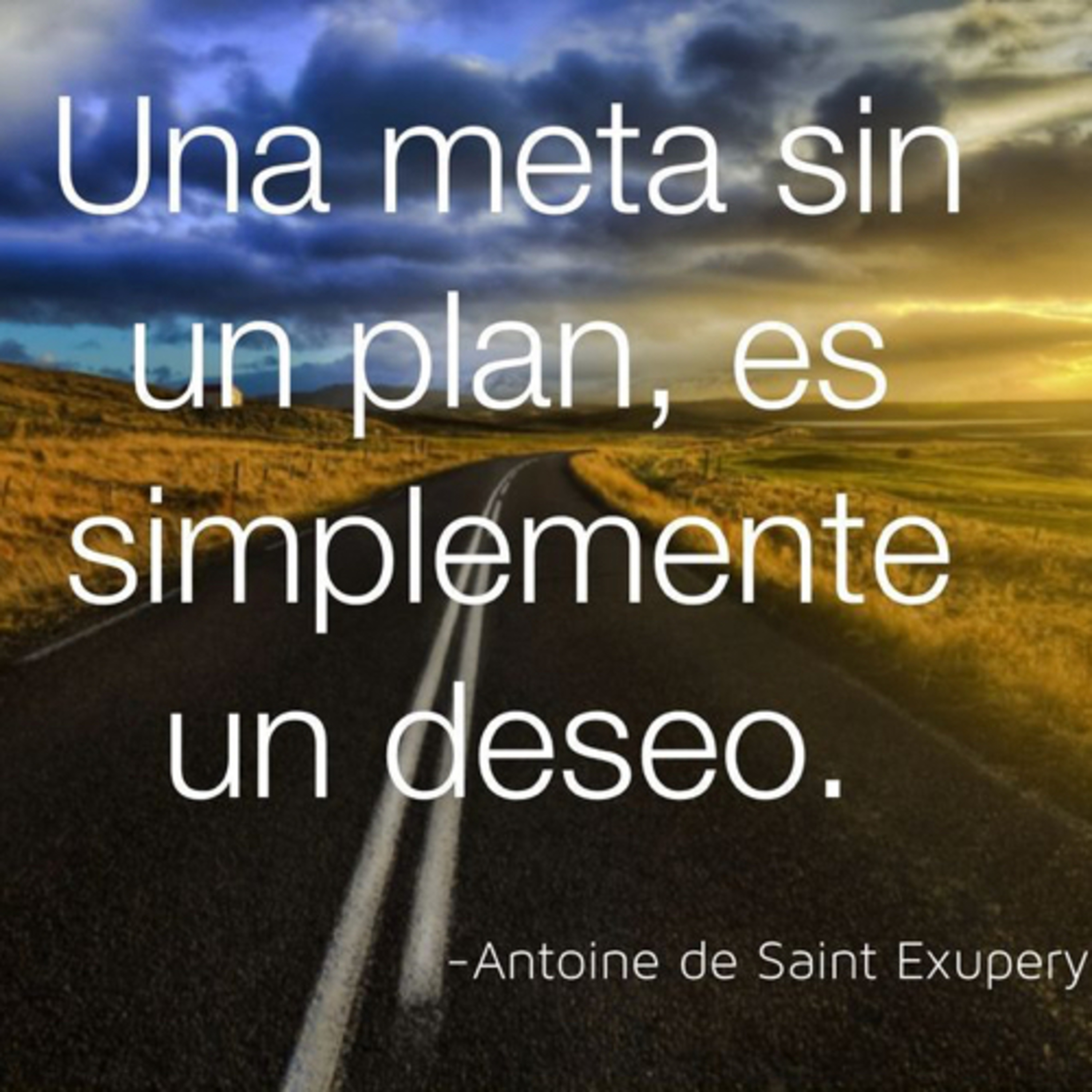 Mujeres en el Liderazgo/MLM
