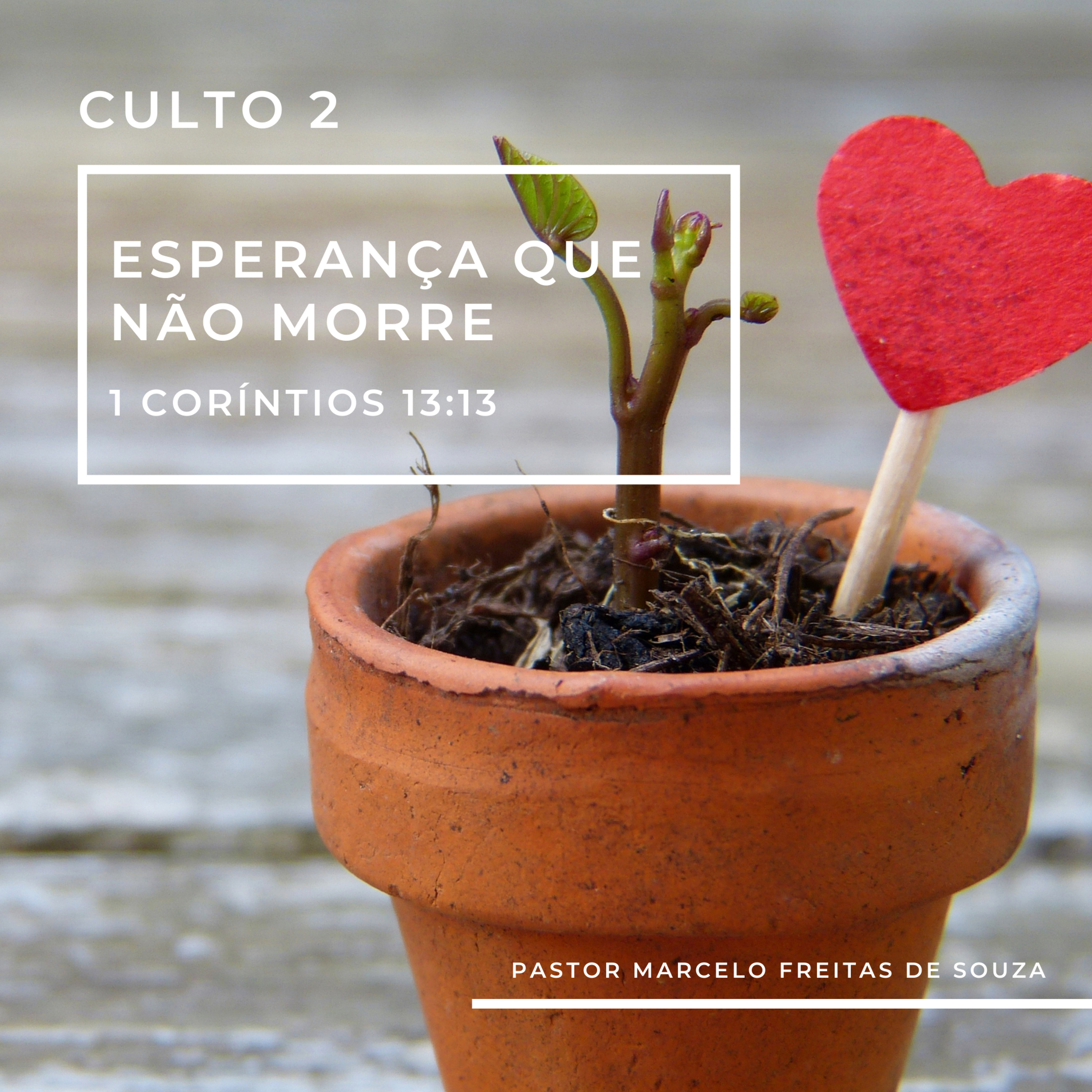 IBBN - Igreja Batista Boas Novas