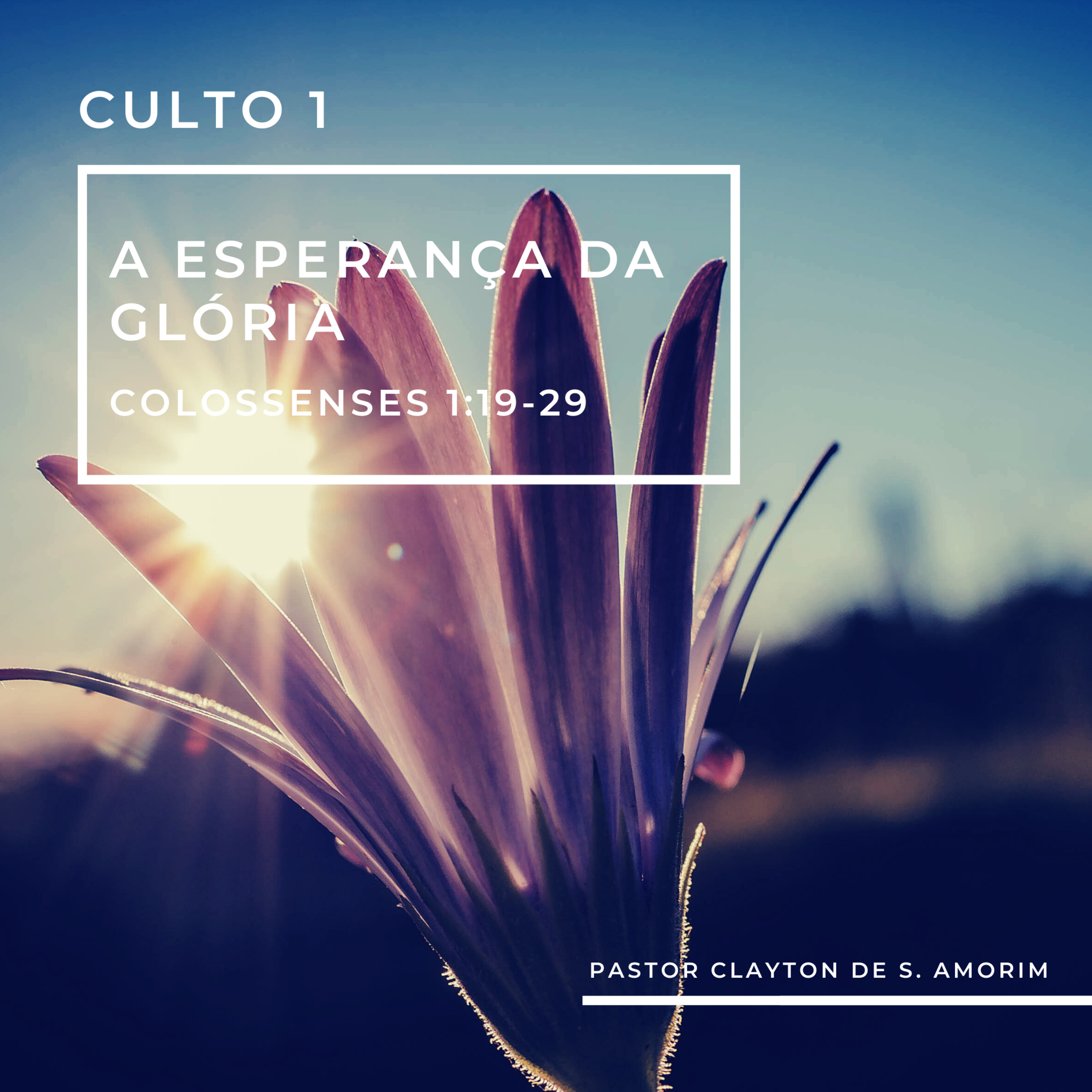 IBBN - Igreja Batista Boas Novas