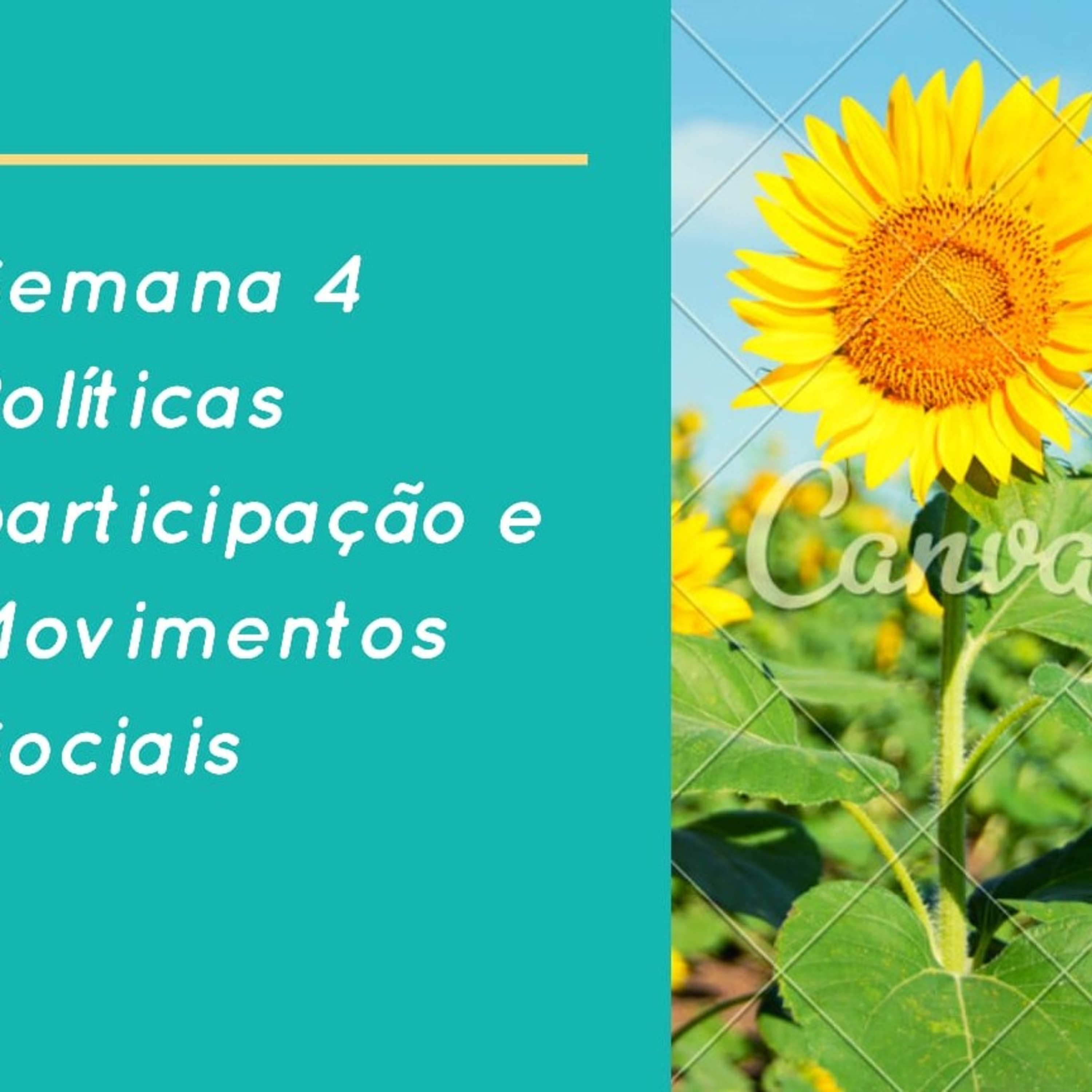 Aula De Sociologia PET 3 Semana 2/ Violência E Criminalidade