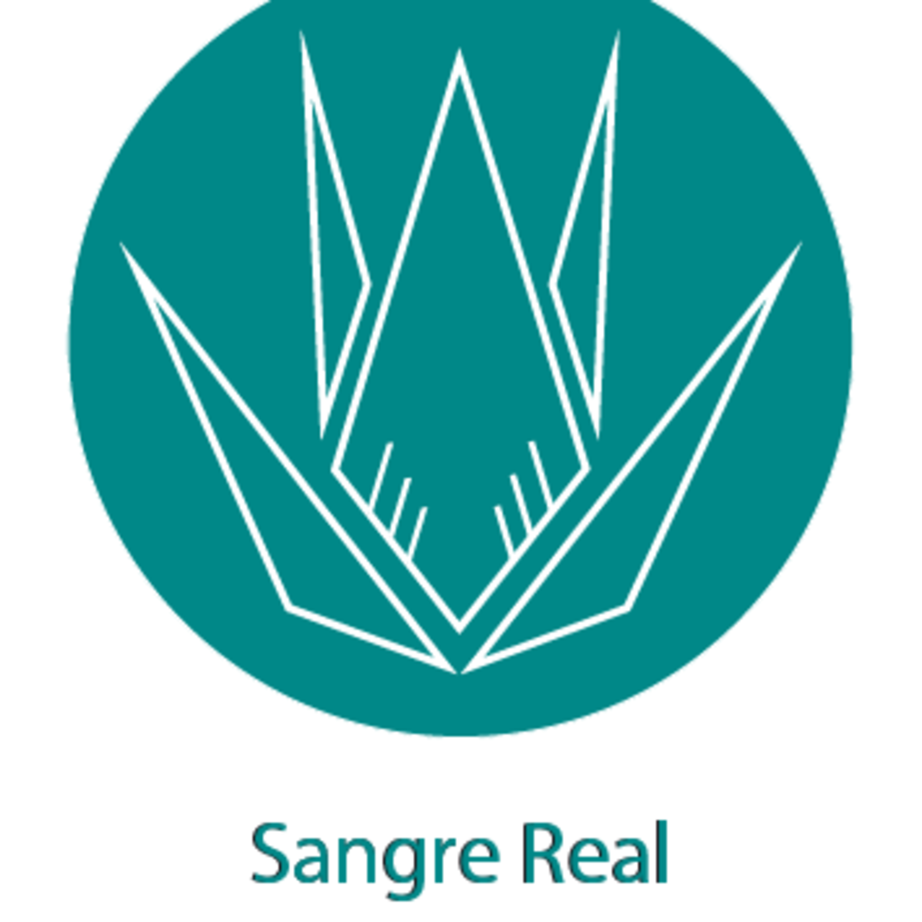 T11:09 TEQUILA SANGRE REAL PARA GENTE REAL CON ANDRÉS SAÚL GARCÍA (EMPRENDEDOR LEONÉS) episode artwork