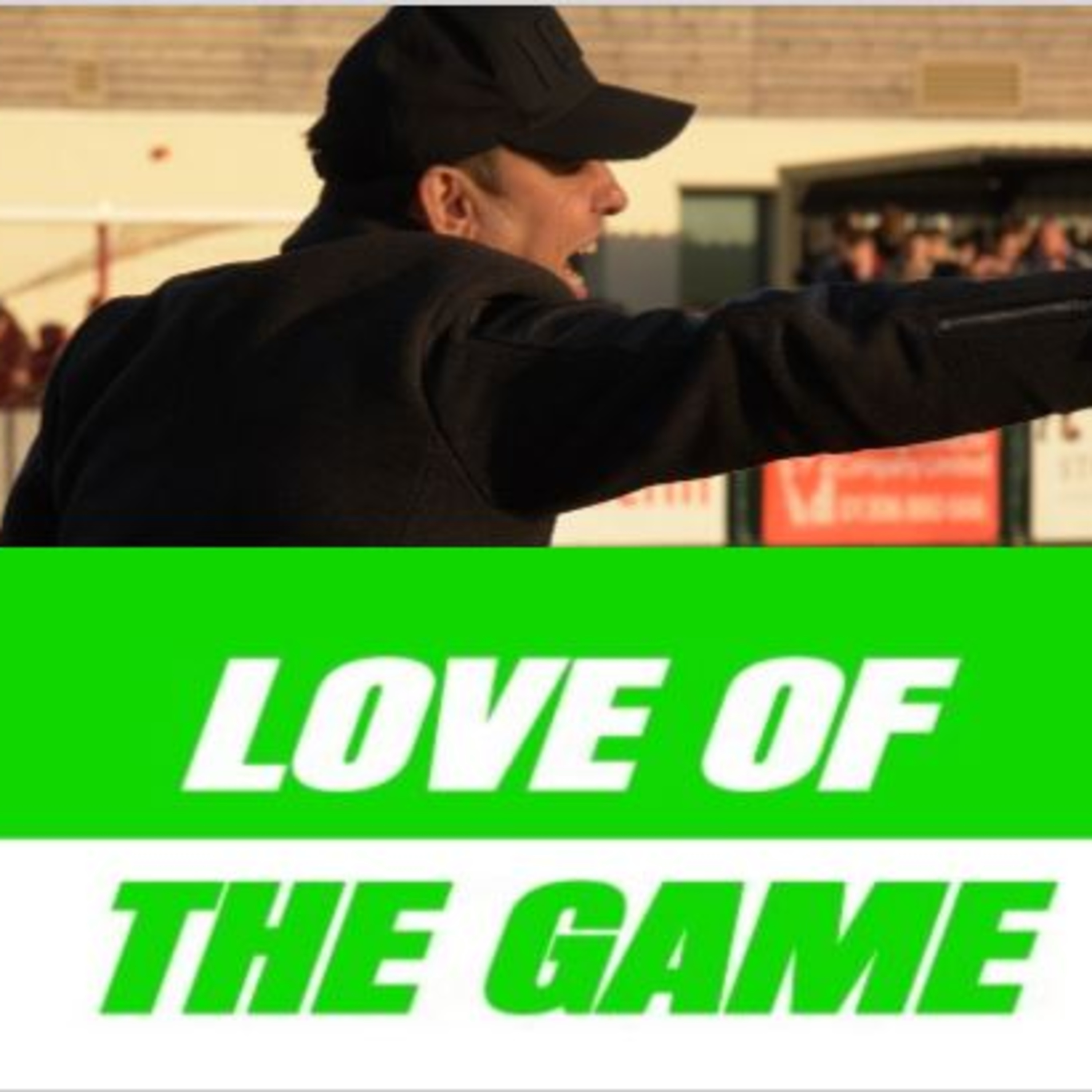 Love of the Game