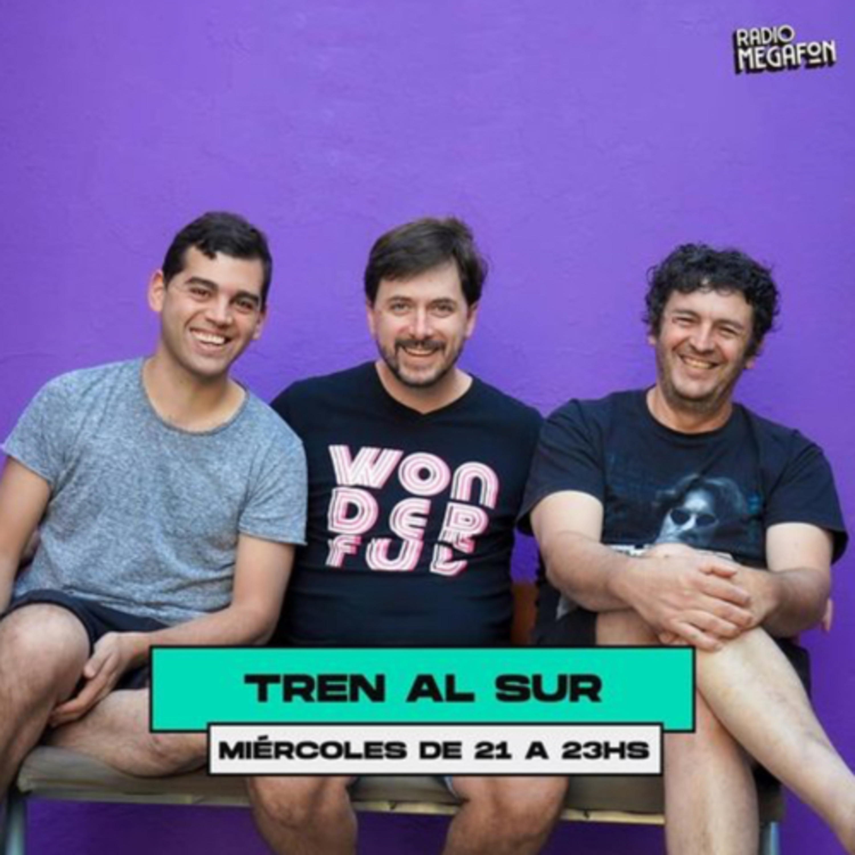 TREN AL SUR: DORA SEGUEL Y SU DECLARACIÓN EN EL 7MO TRAMO DE LOS JUICIOS DE “LA ESCUELITA” episode artwork