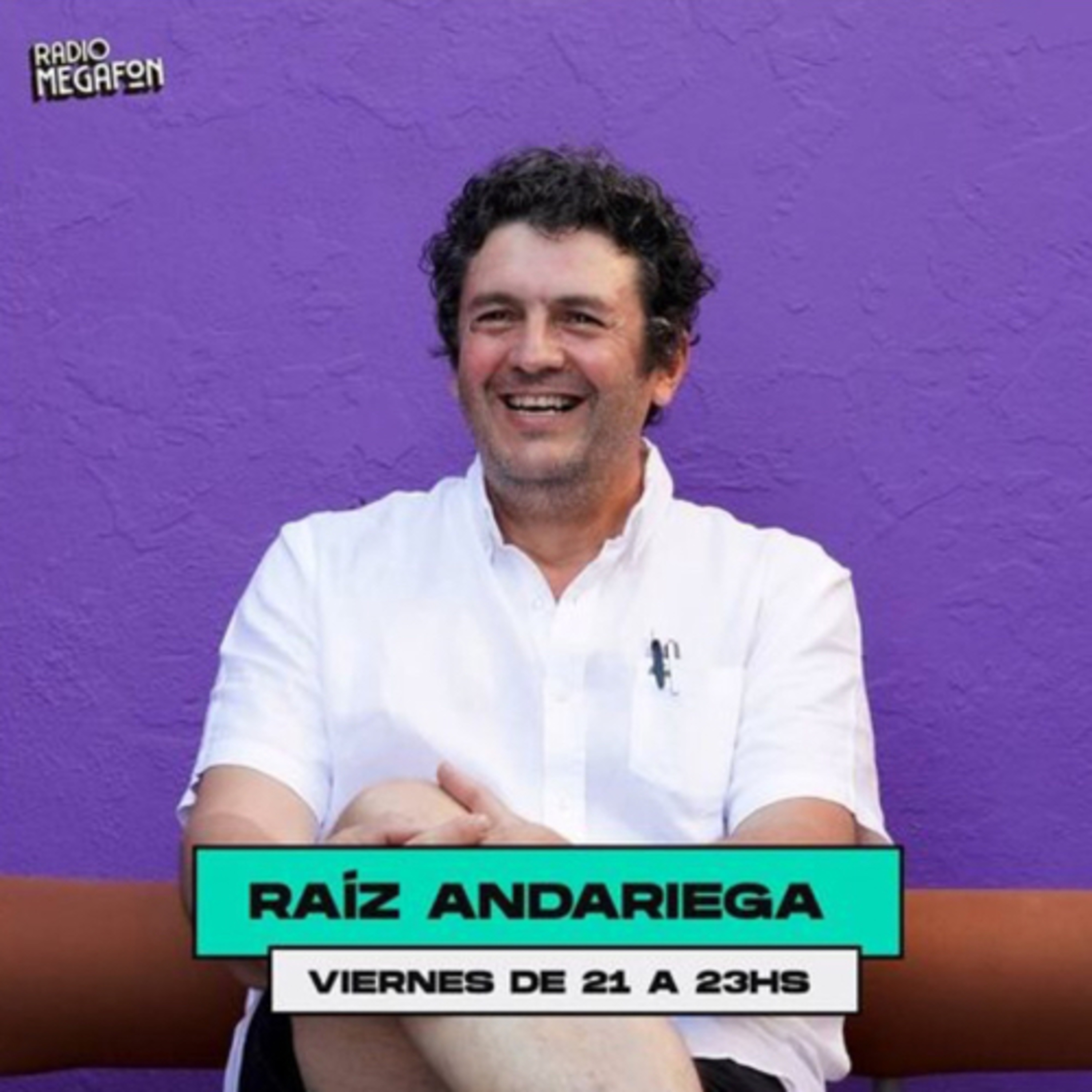 LA VOZ DE NOEMÍ LABRUNE SOBRE JAIME DE NEVARES episode artwork