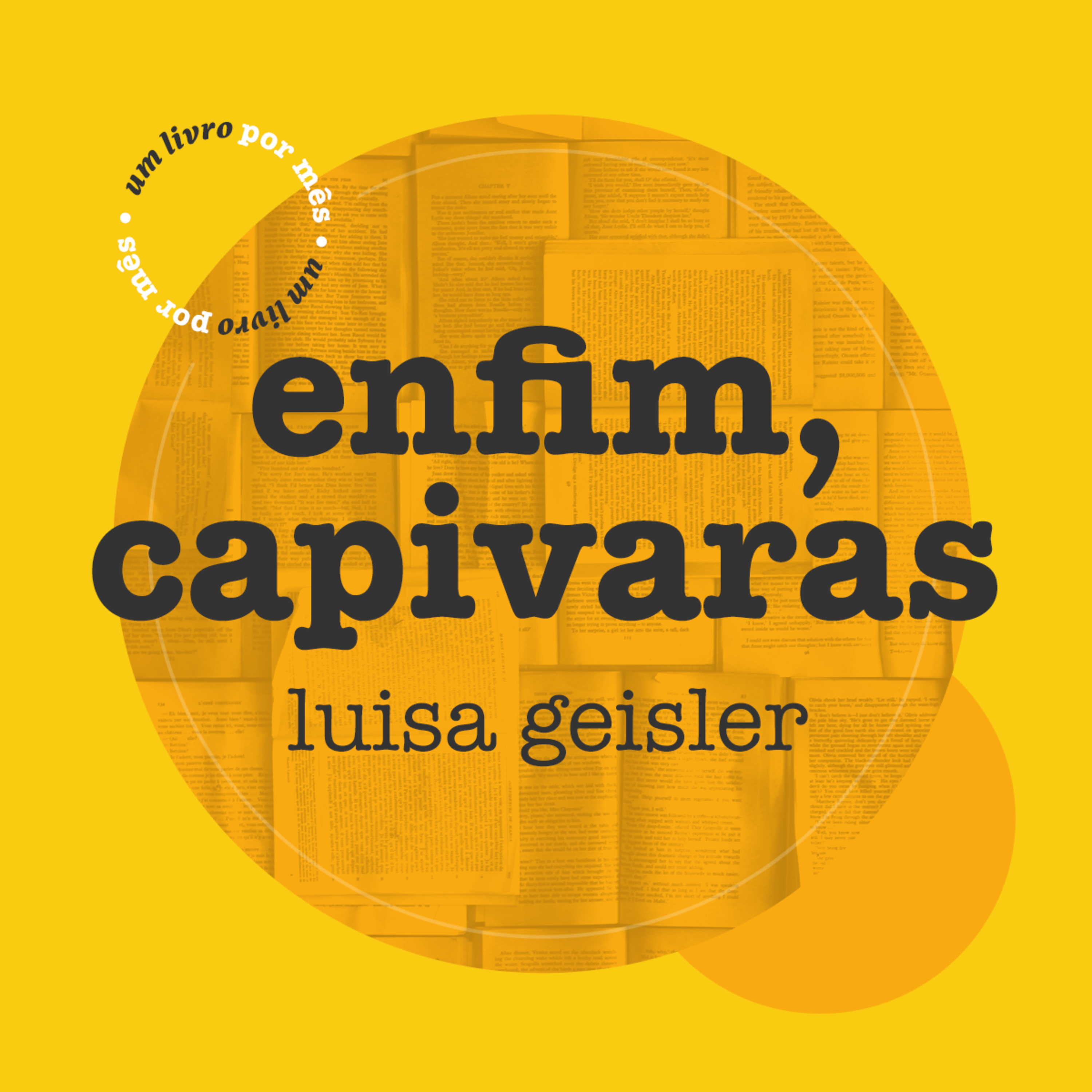 Um livro por mês