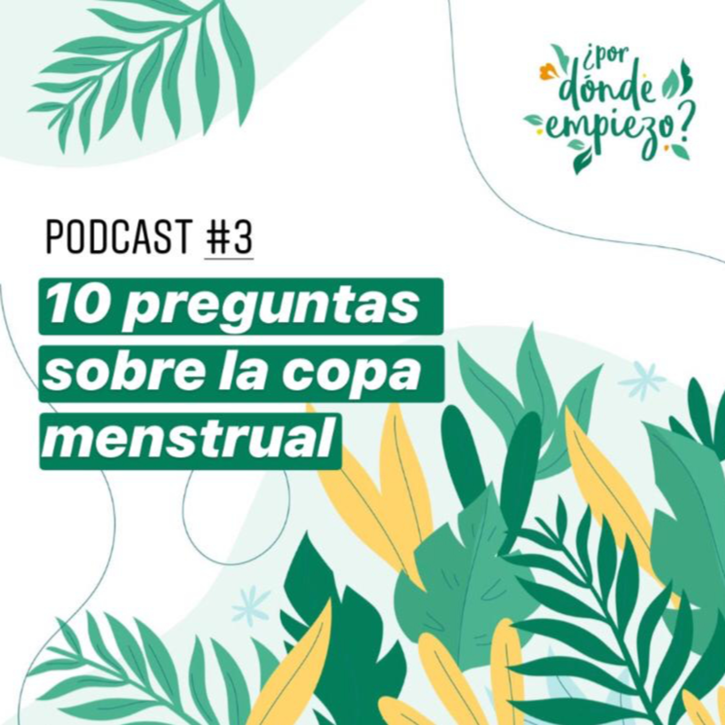 10 Preguntas sobre la Copa Menstrual episode artwork
