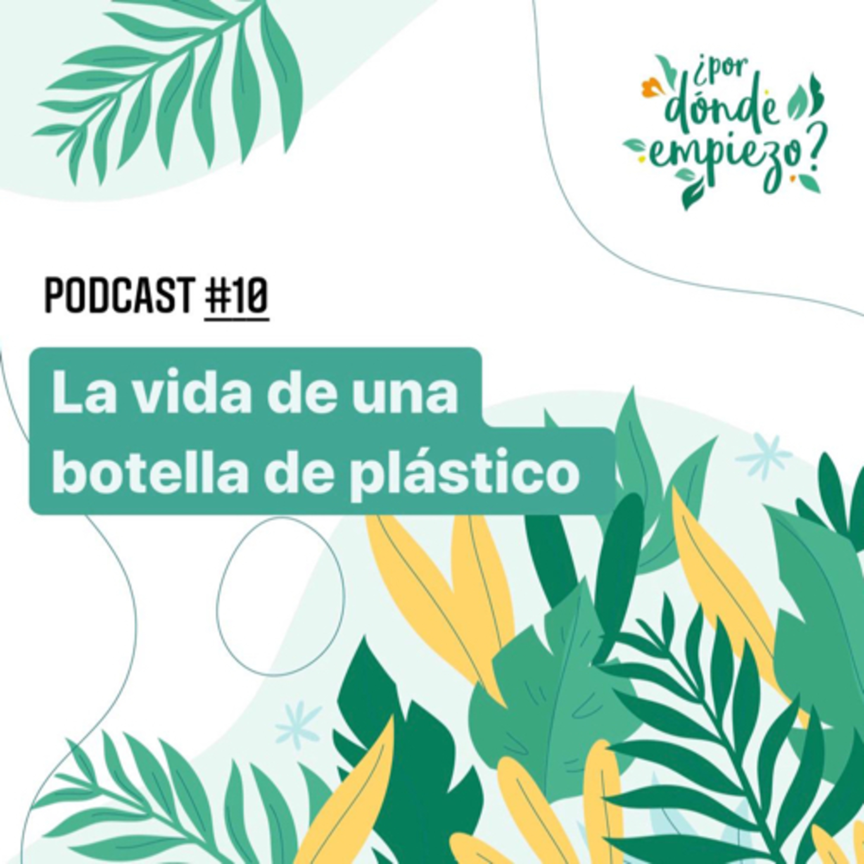 La vida de una botella de plástico episode artwork