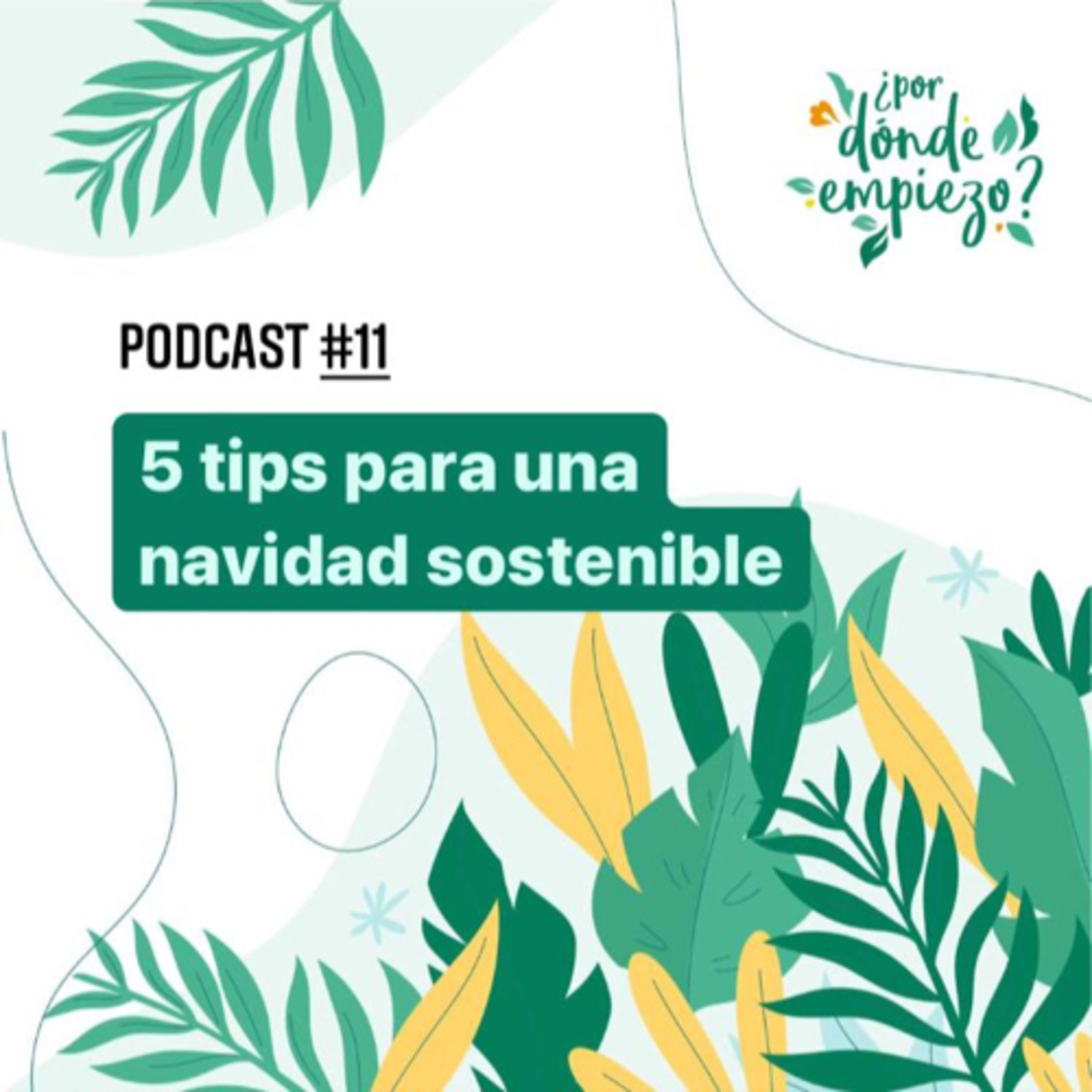 5 tips para una navidad más sostenible episode artwork