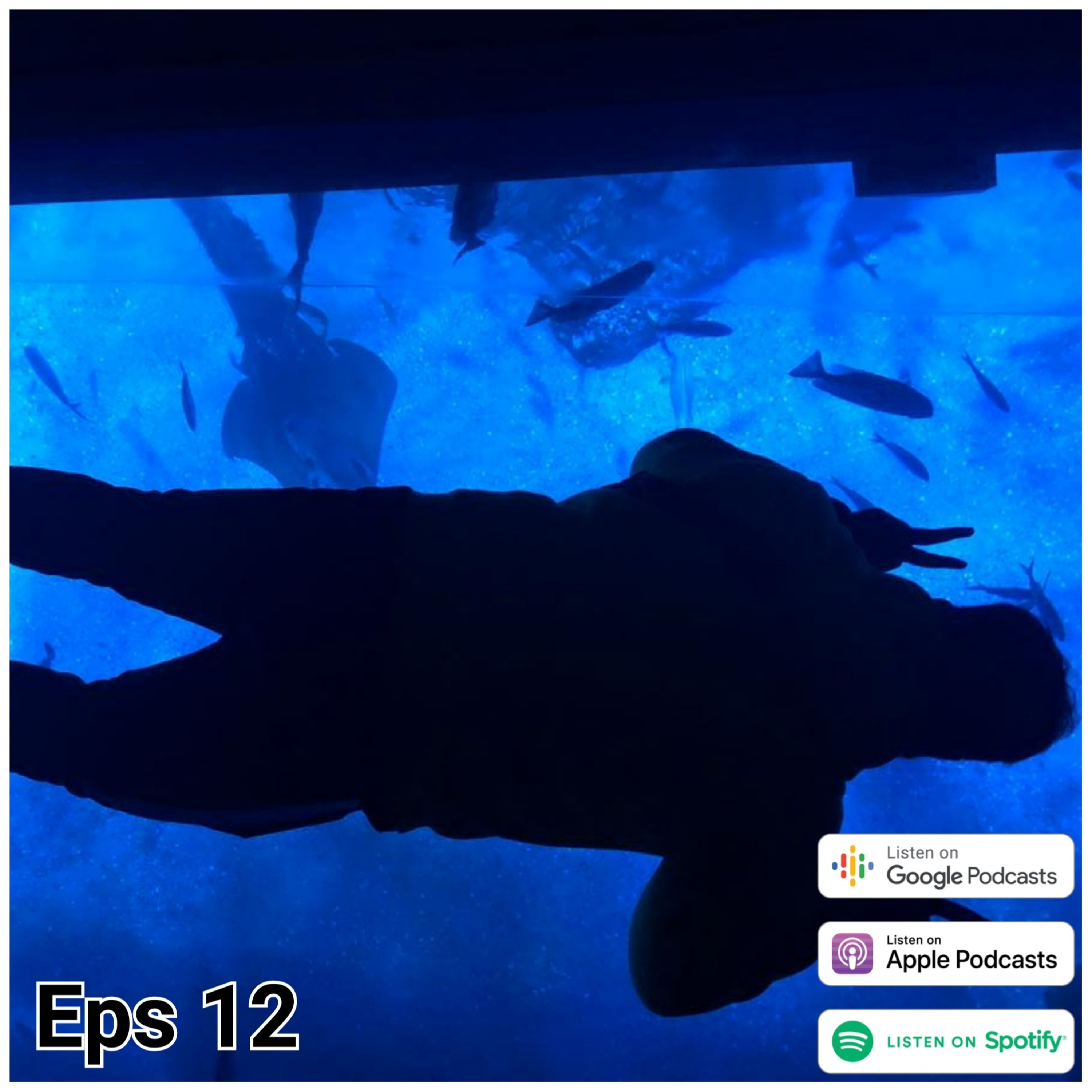 Sobi.podcast