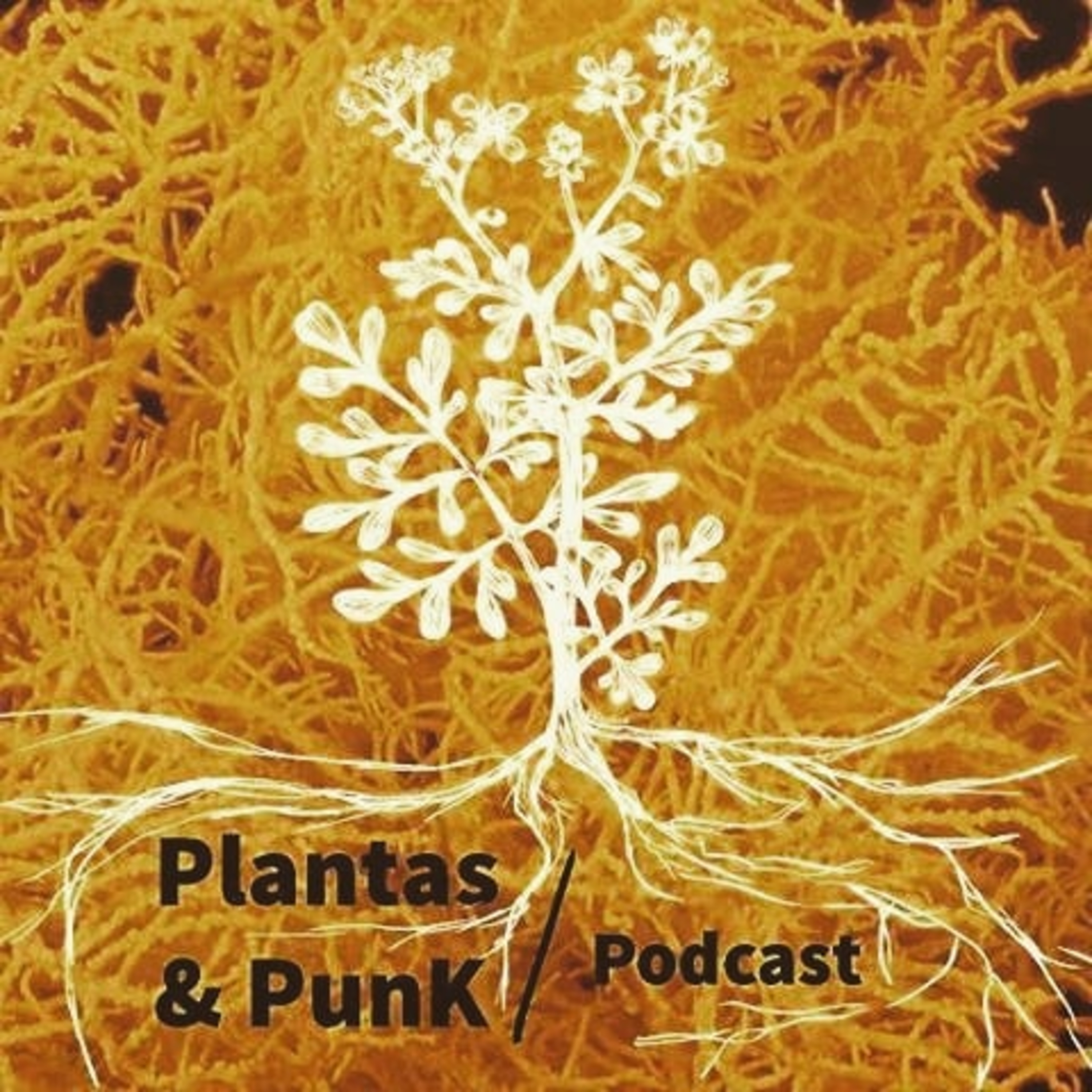 Plantasypunk