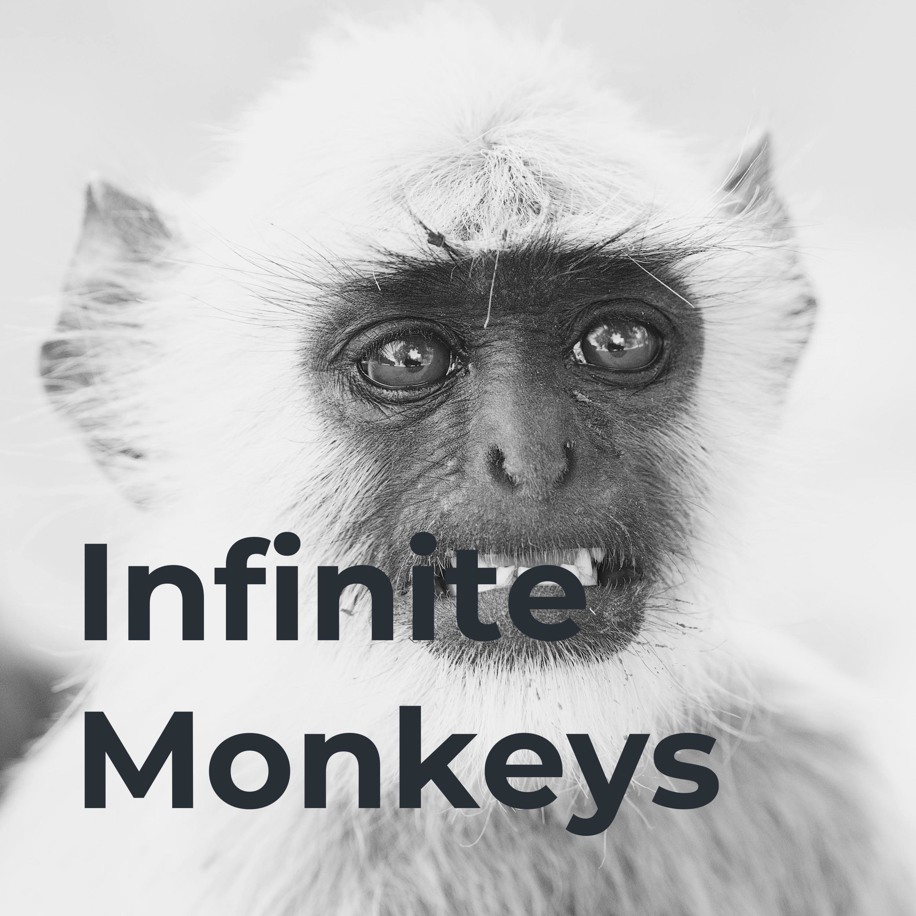 Infinite Monkeys