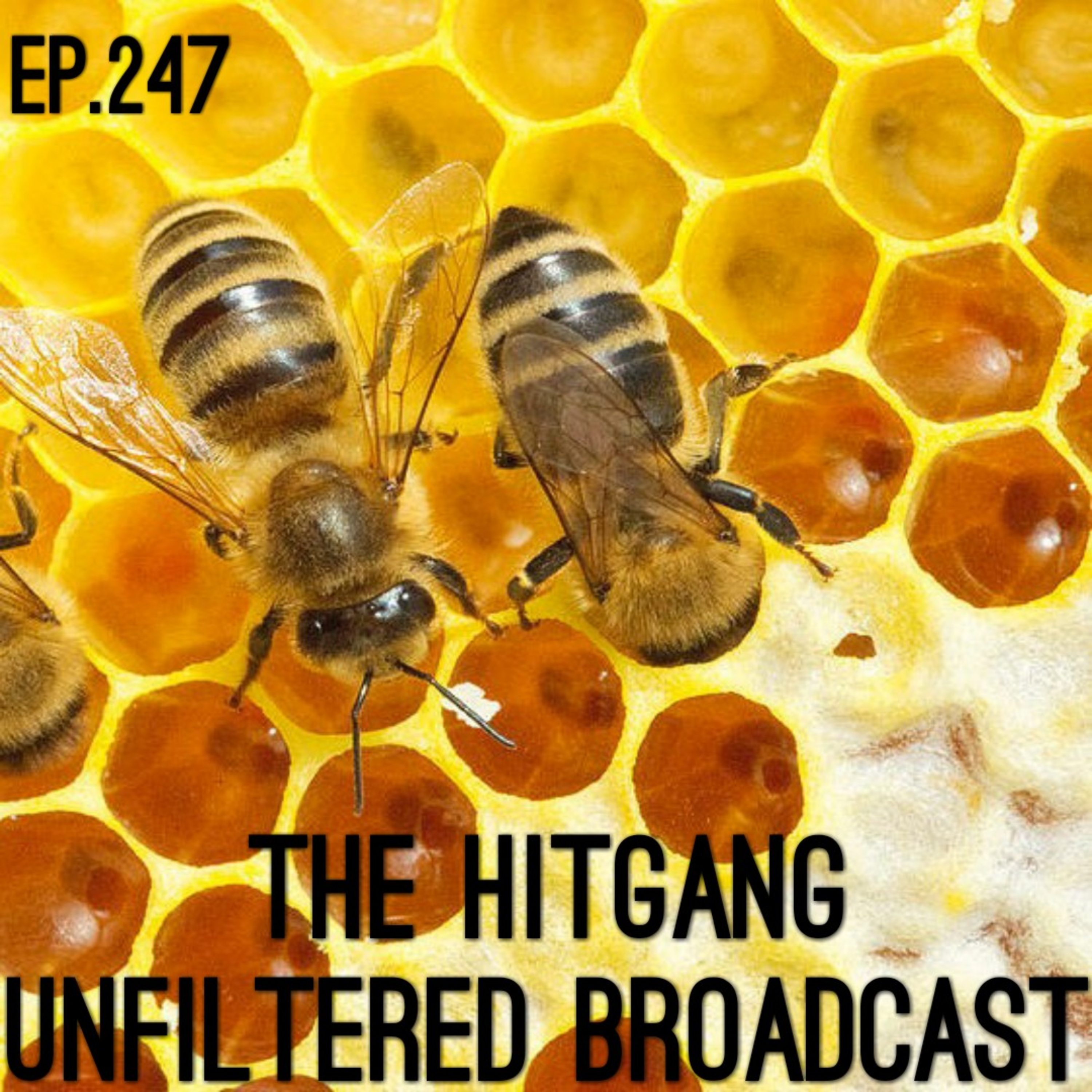 Marley Media\'s                  Unfiltered Broadcast