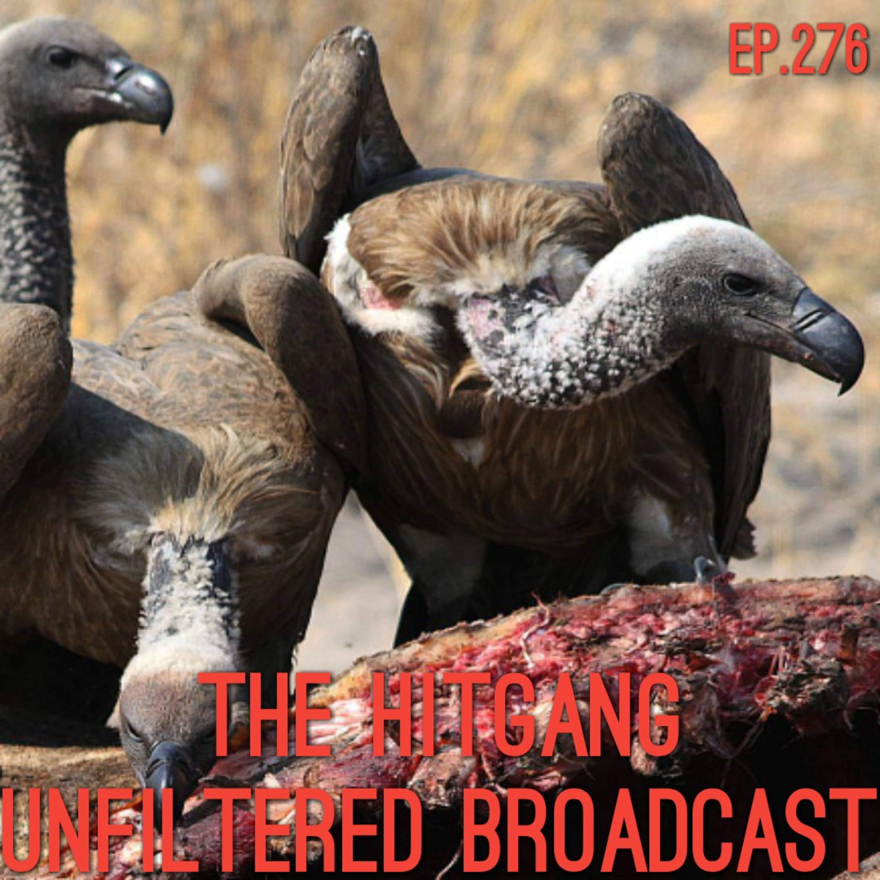 Marley Media\'s                  Unfiltered Broadcast
