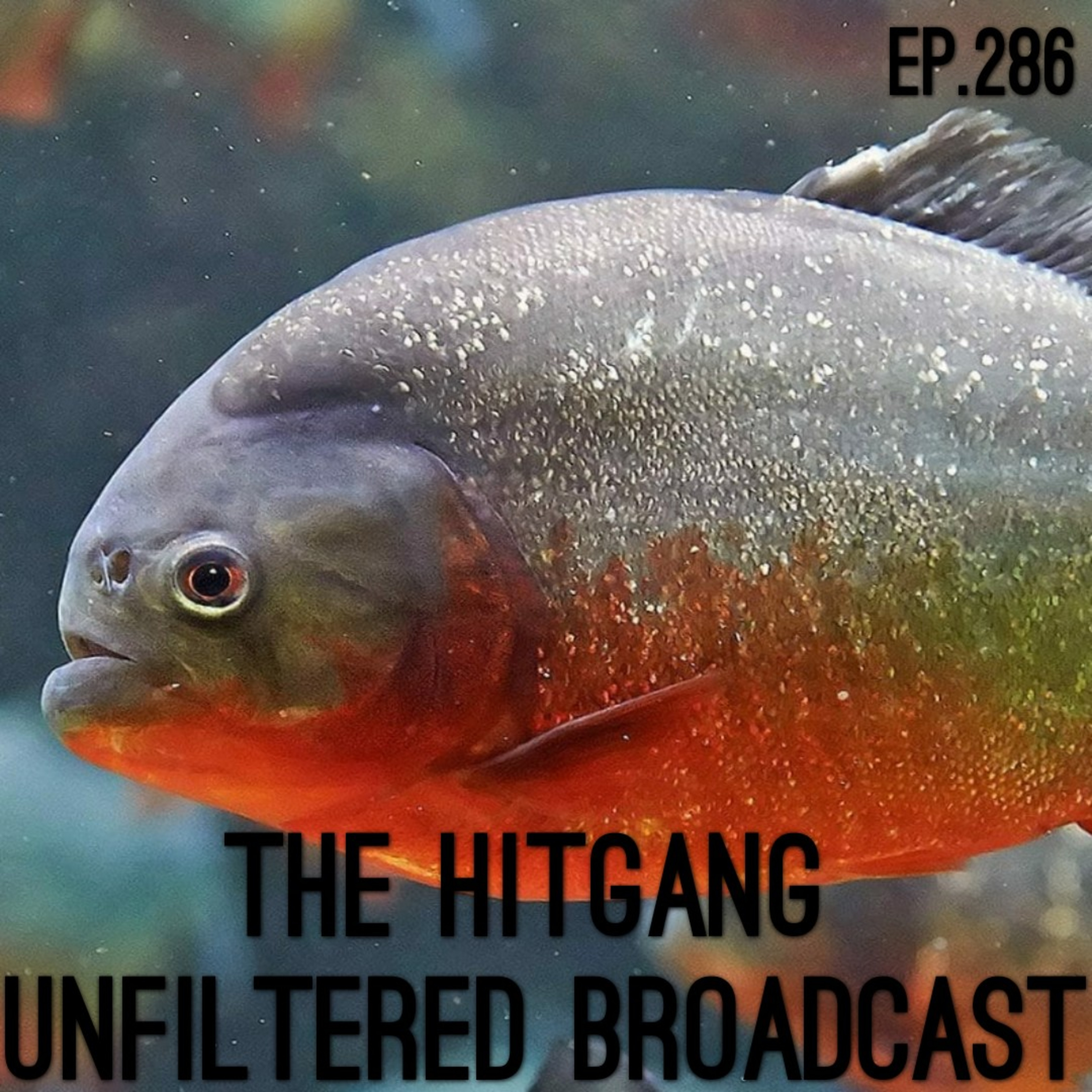 Marley Media\'s                  Unfiltered Broadcast