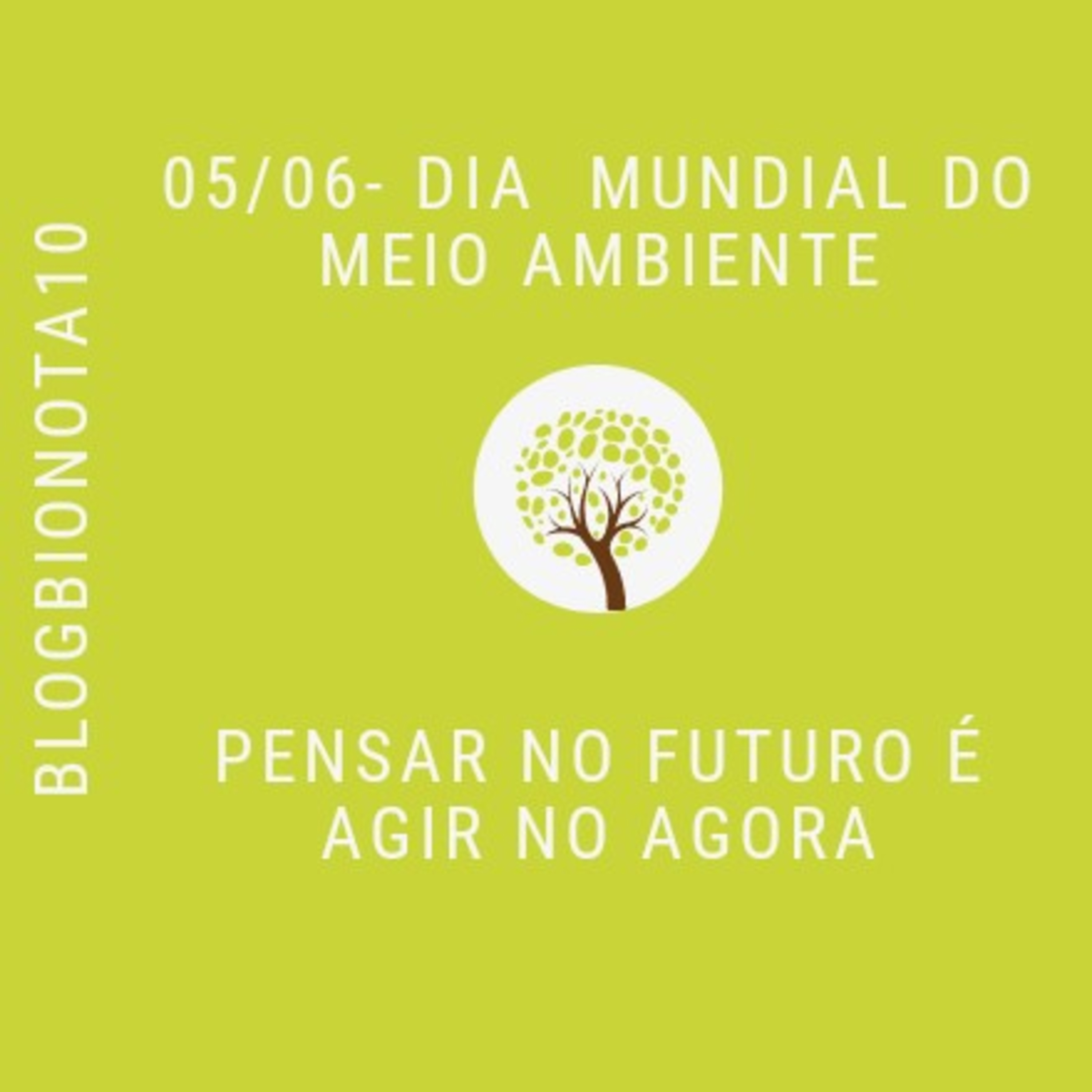 Blog Bio Nota 10