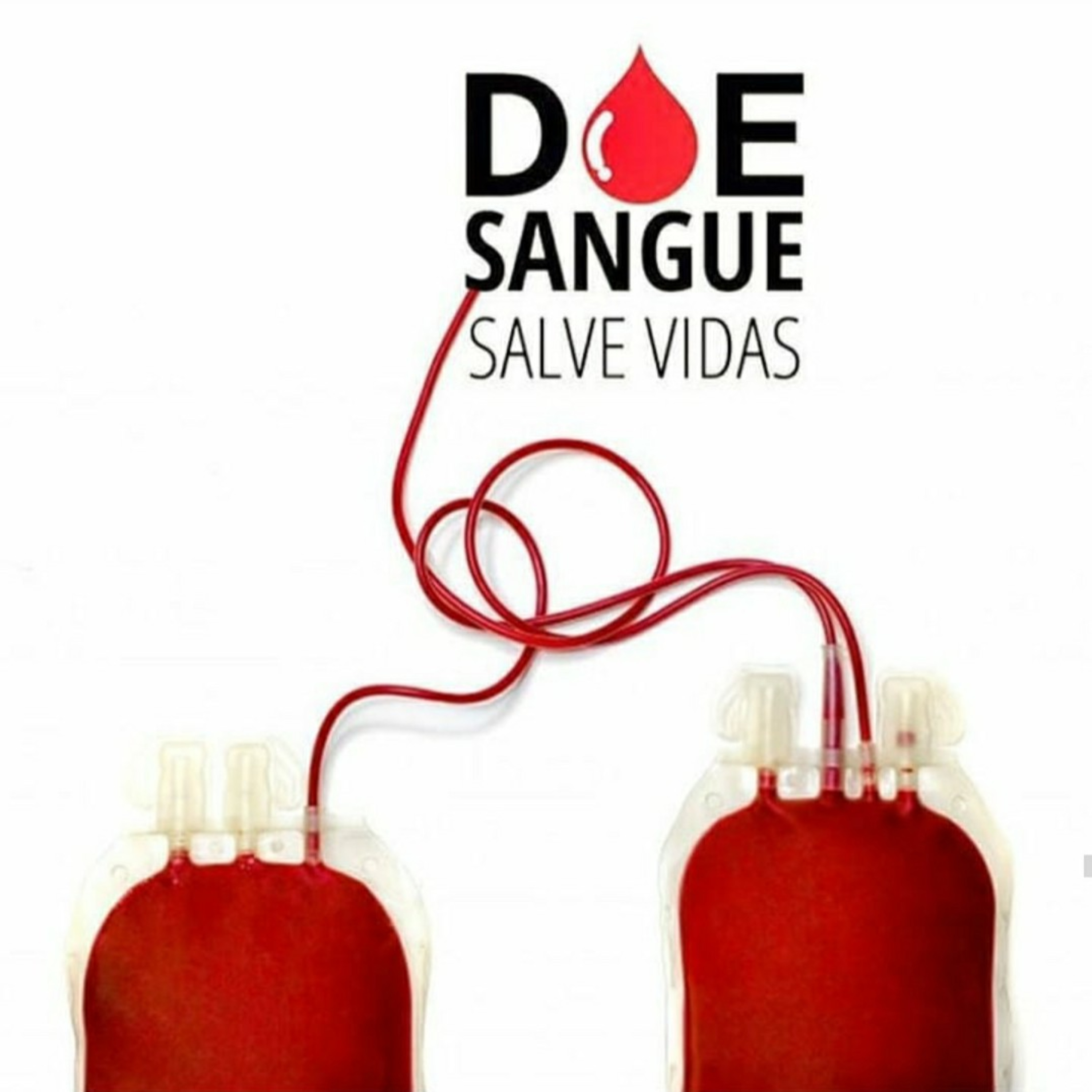 Blog Bio Nota 10