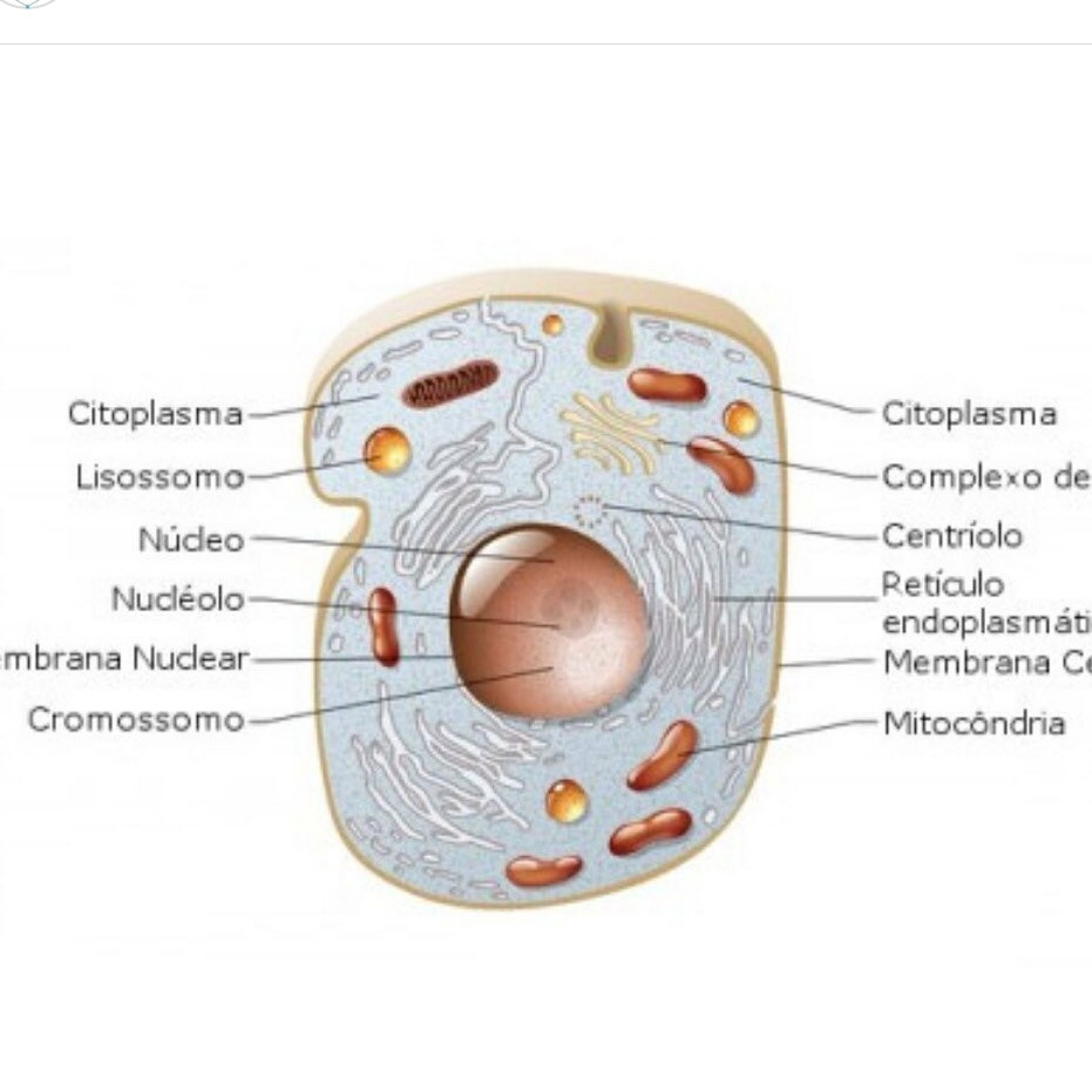 Blog Bio Nota 10
