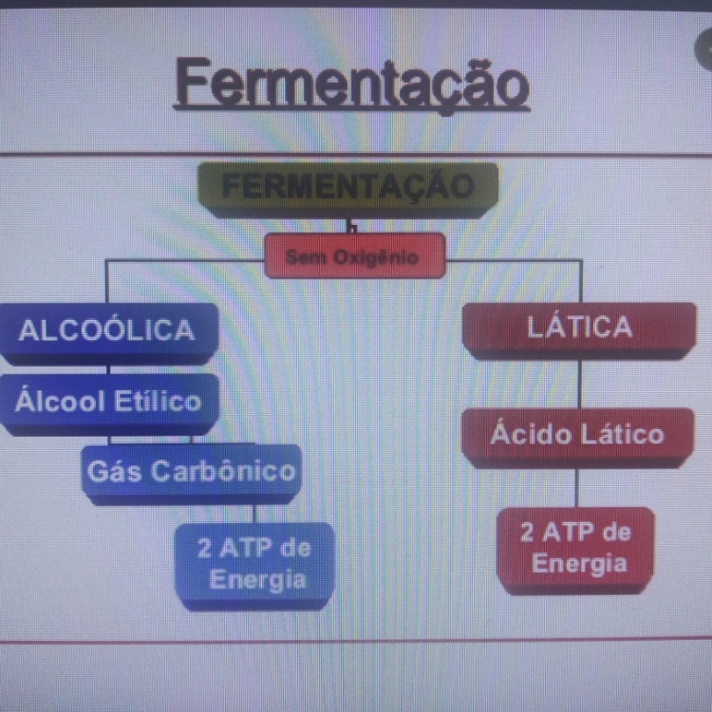 Blog Bio Nota 10