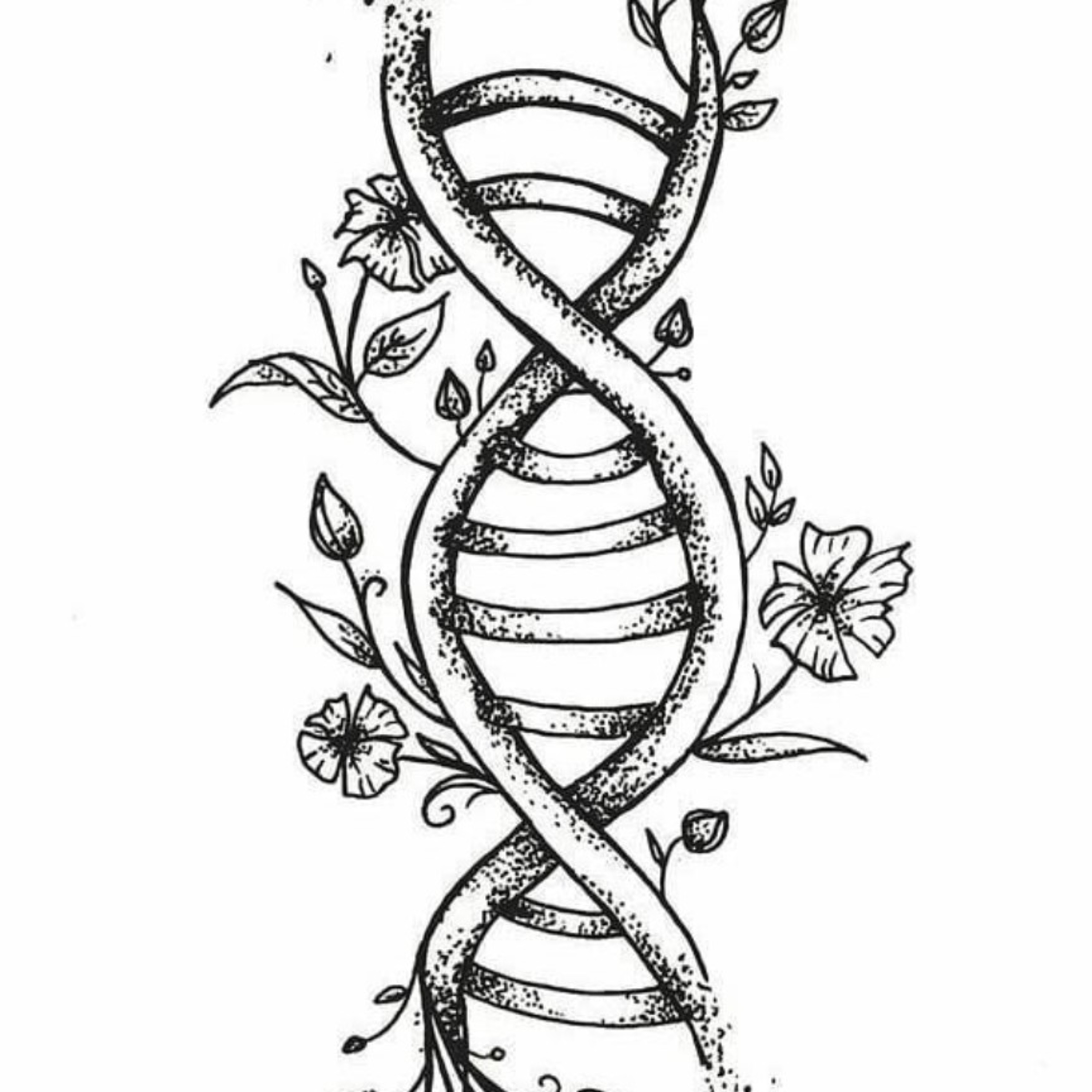 Blog Bio Nota 10
