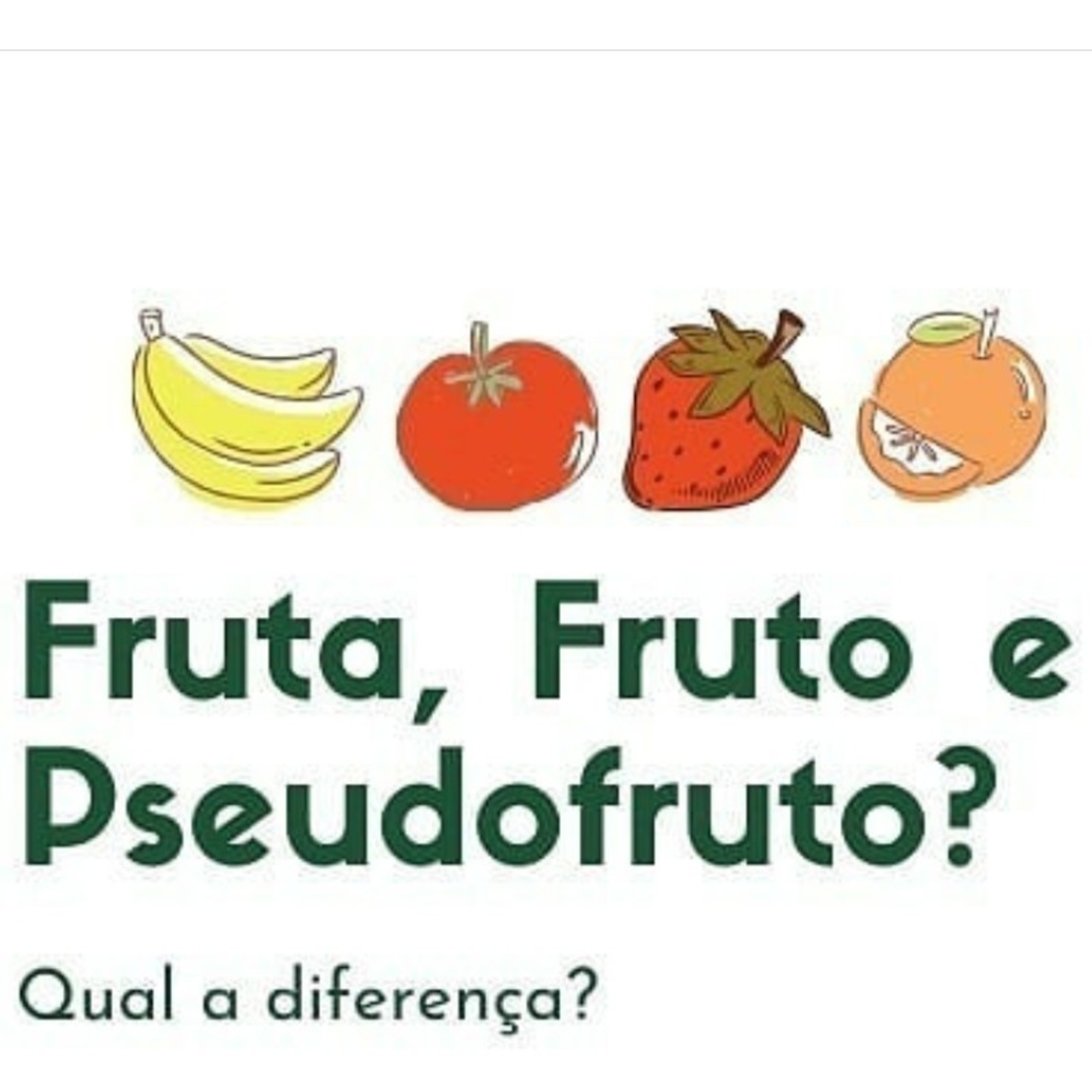 Blog Bio Nota 10