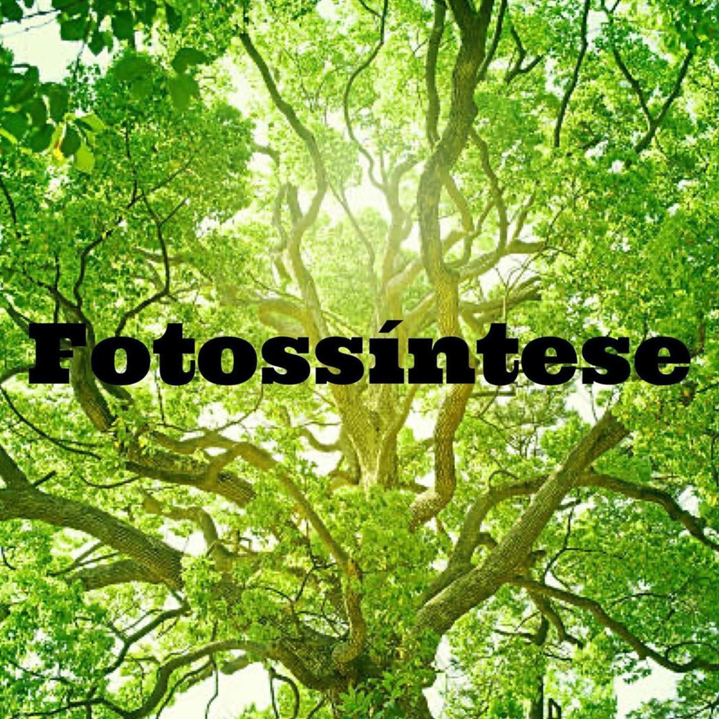 Blog Bio Nota 10