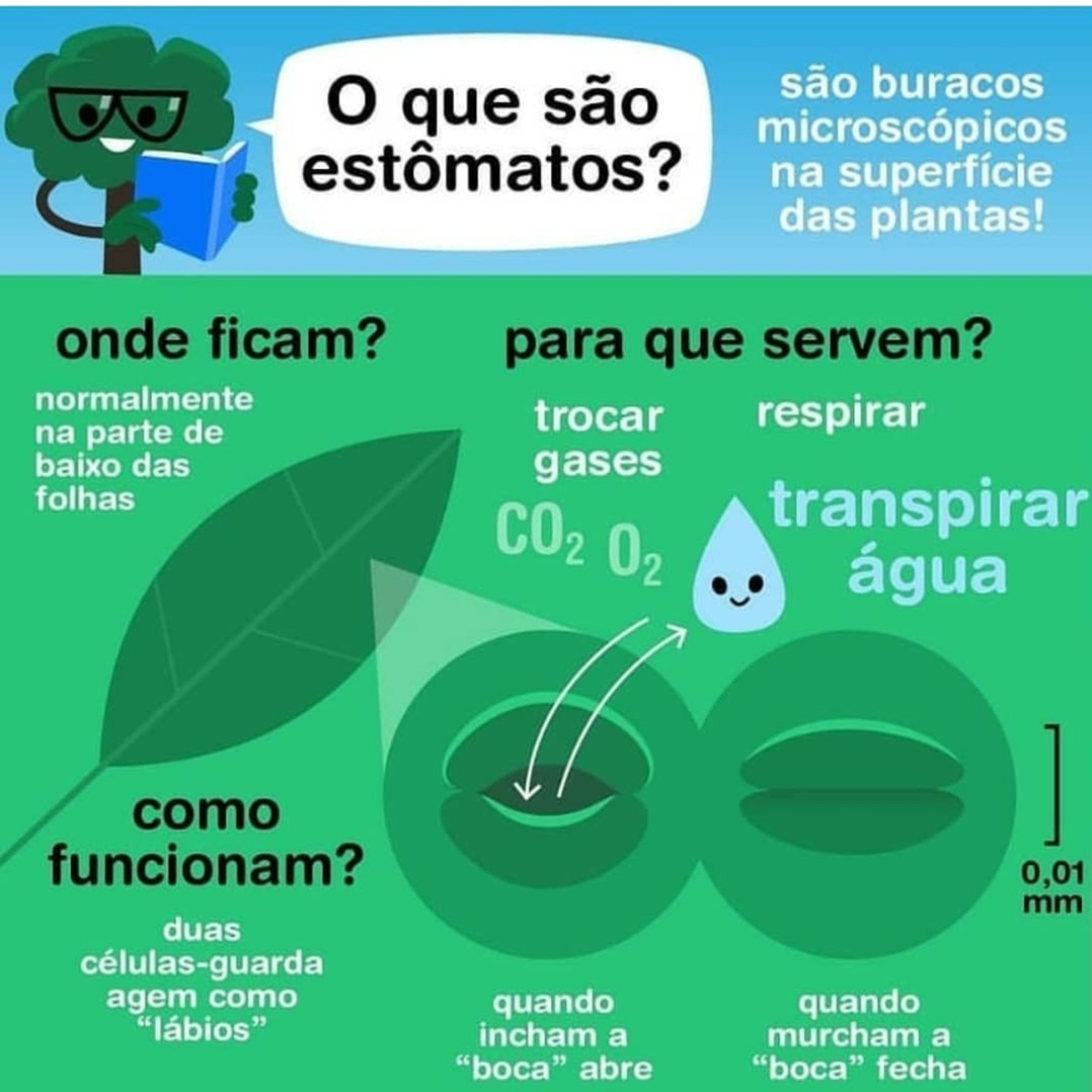 Blog Bio Nota 10