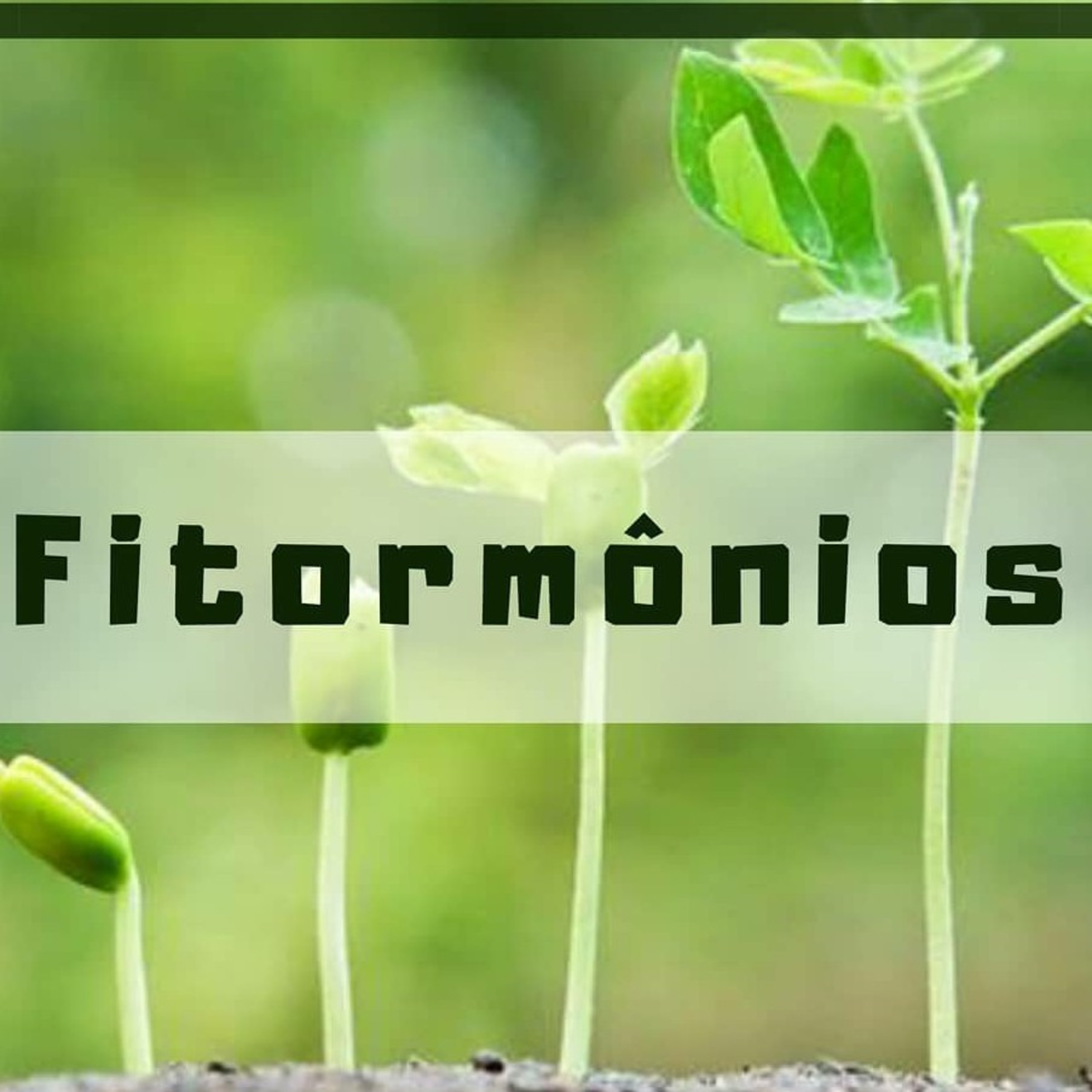 Blog Bio Nota 10