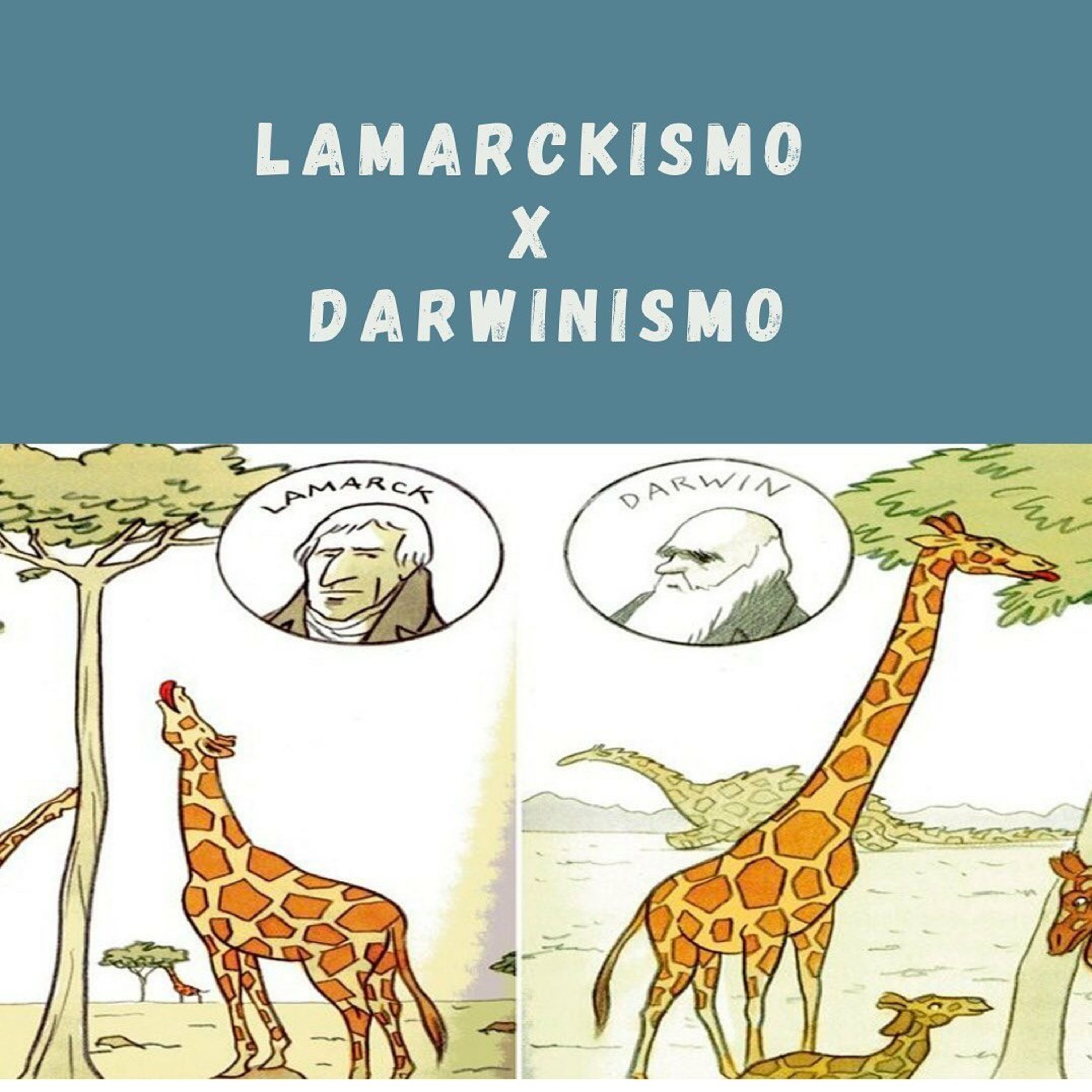 Blog Bio Nota 10
