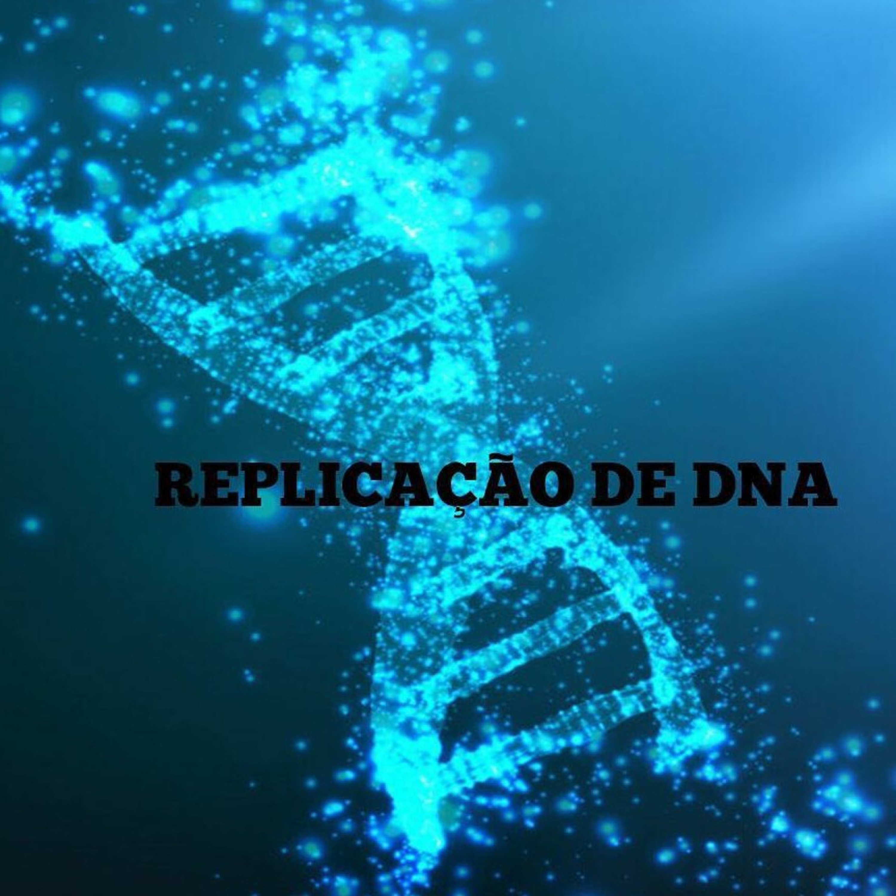 Blog Bio Nota 10