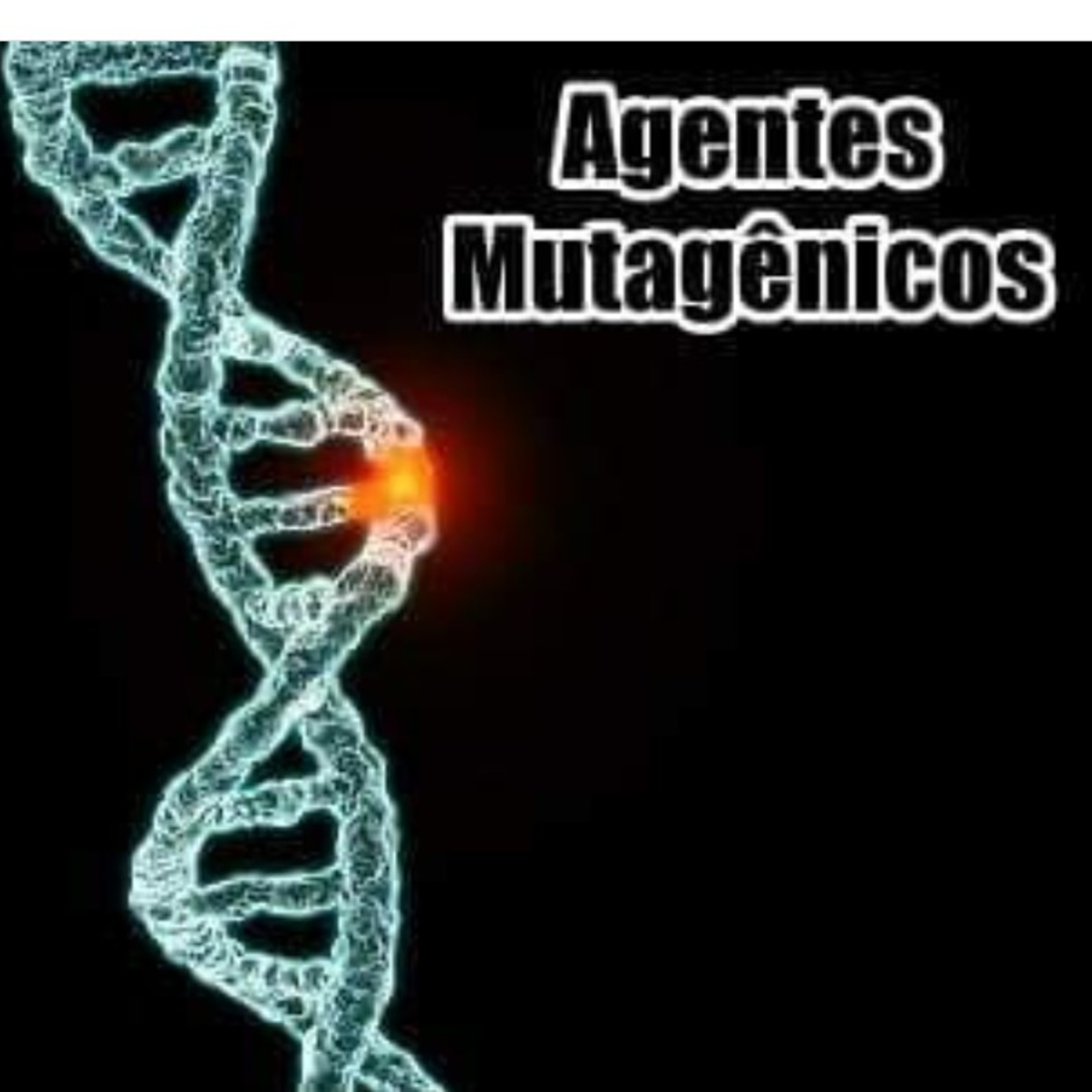 Blog Bio Nota 10