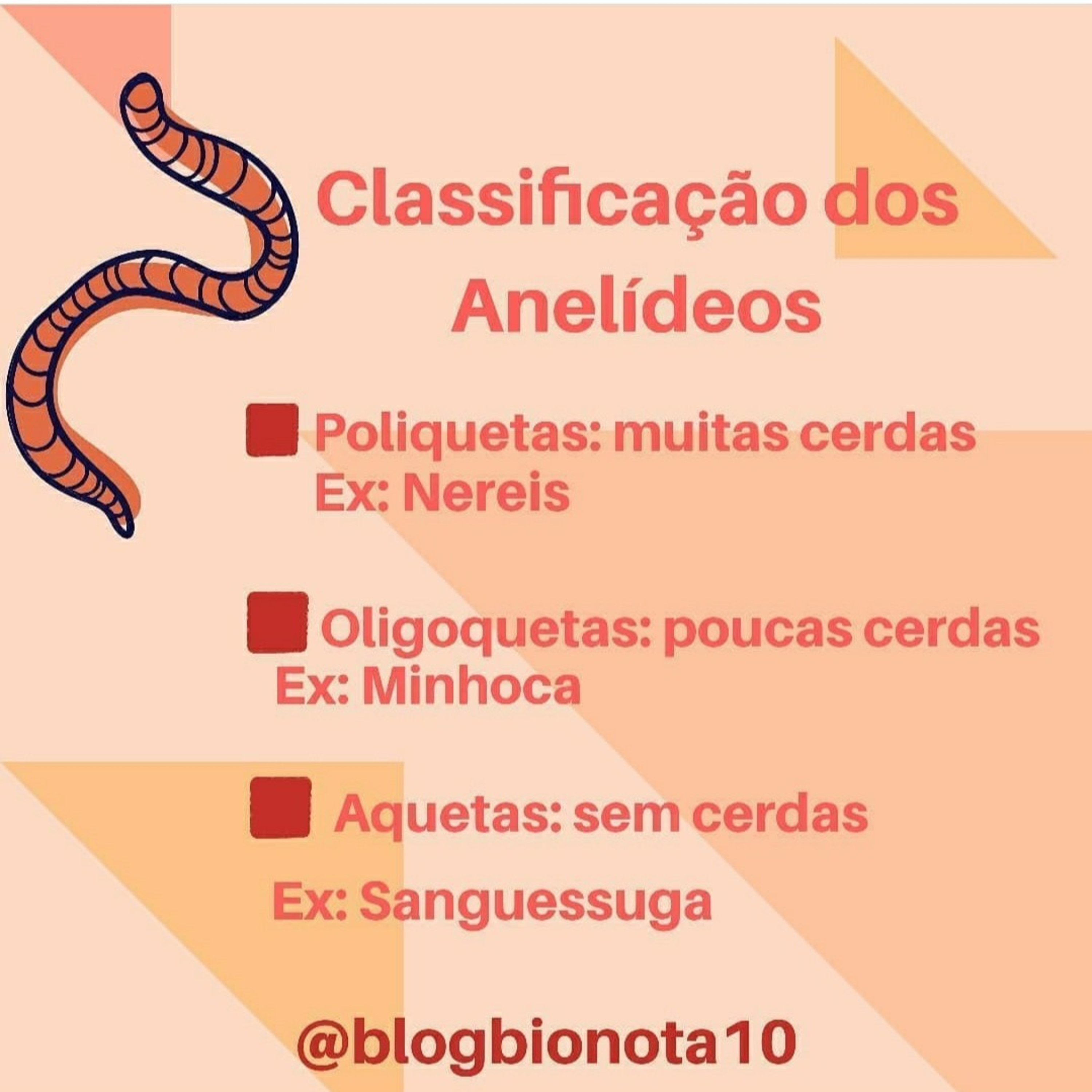 Blog Bio Nota 10